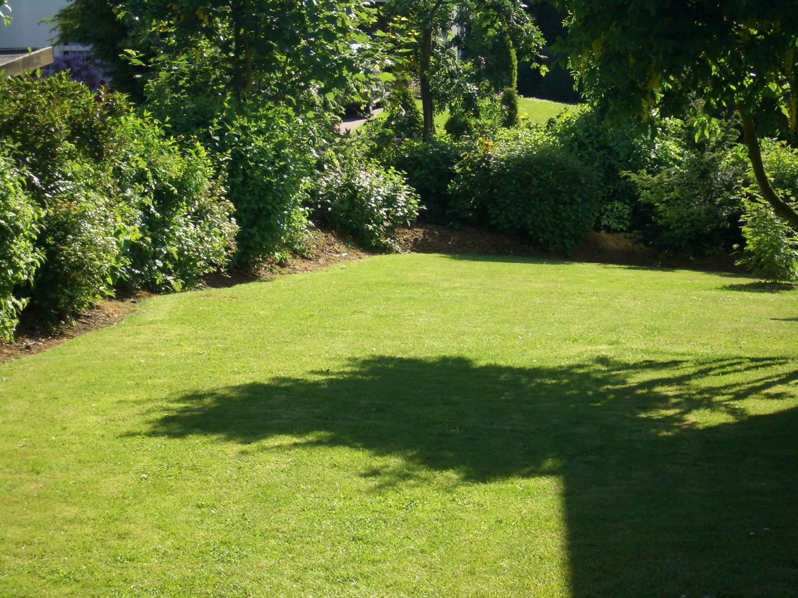 Garden in Hotel Ohrberg