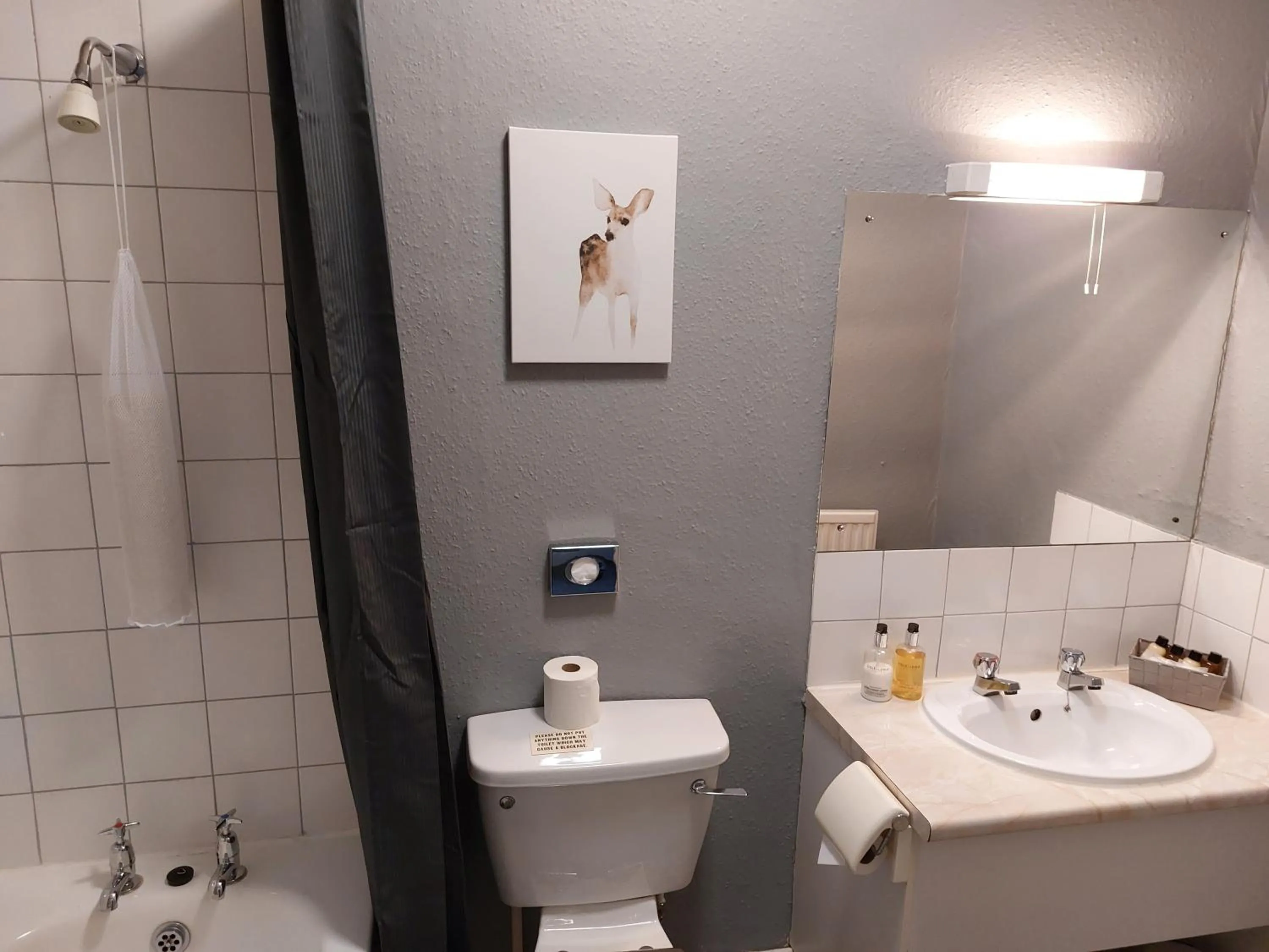 Shower in Lion Hotel Dulverton