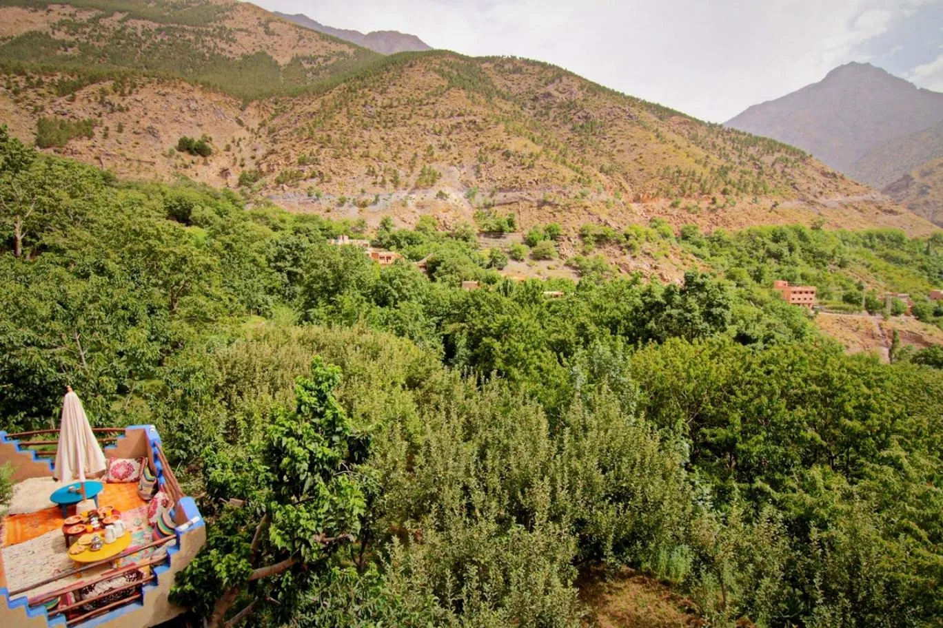 Garden view in Jnane Karma