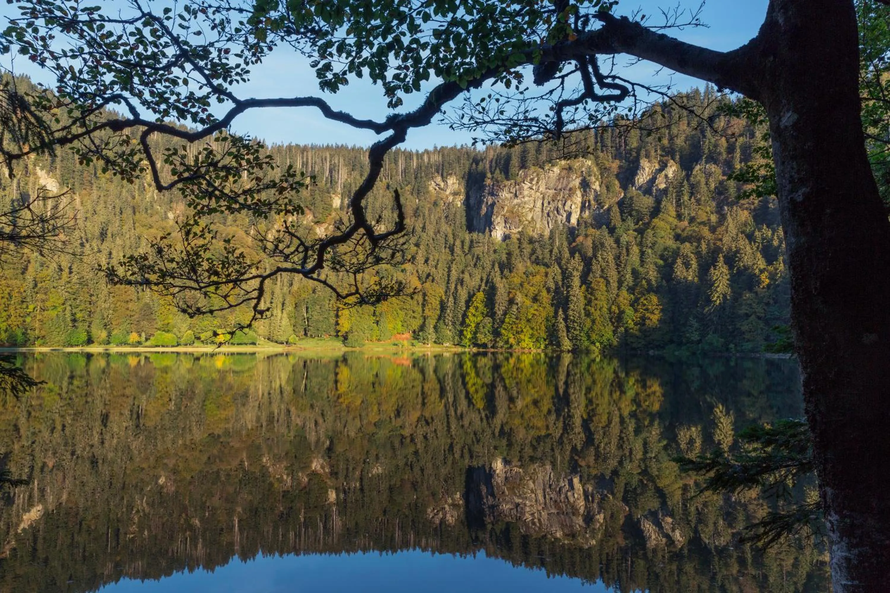 Property building in Hotel Reppert