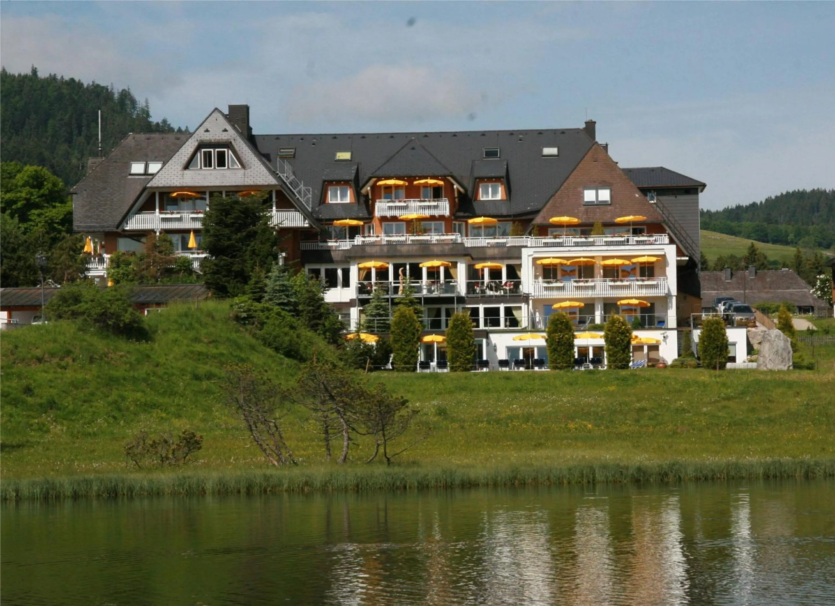 Property building in Hotel Reppert