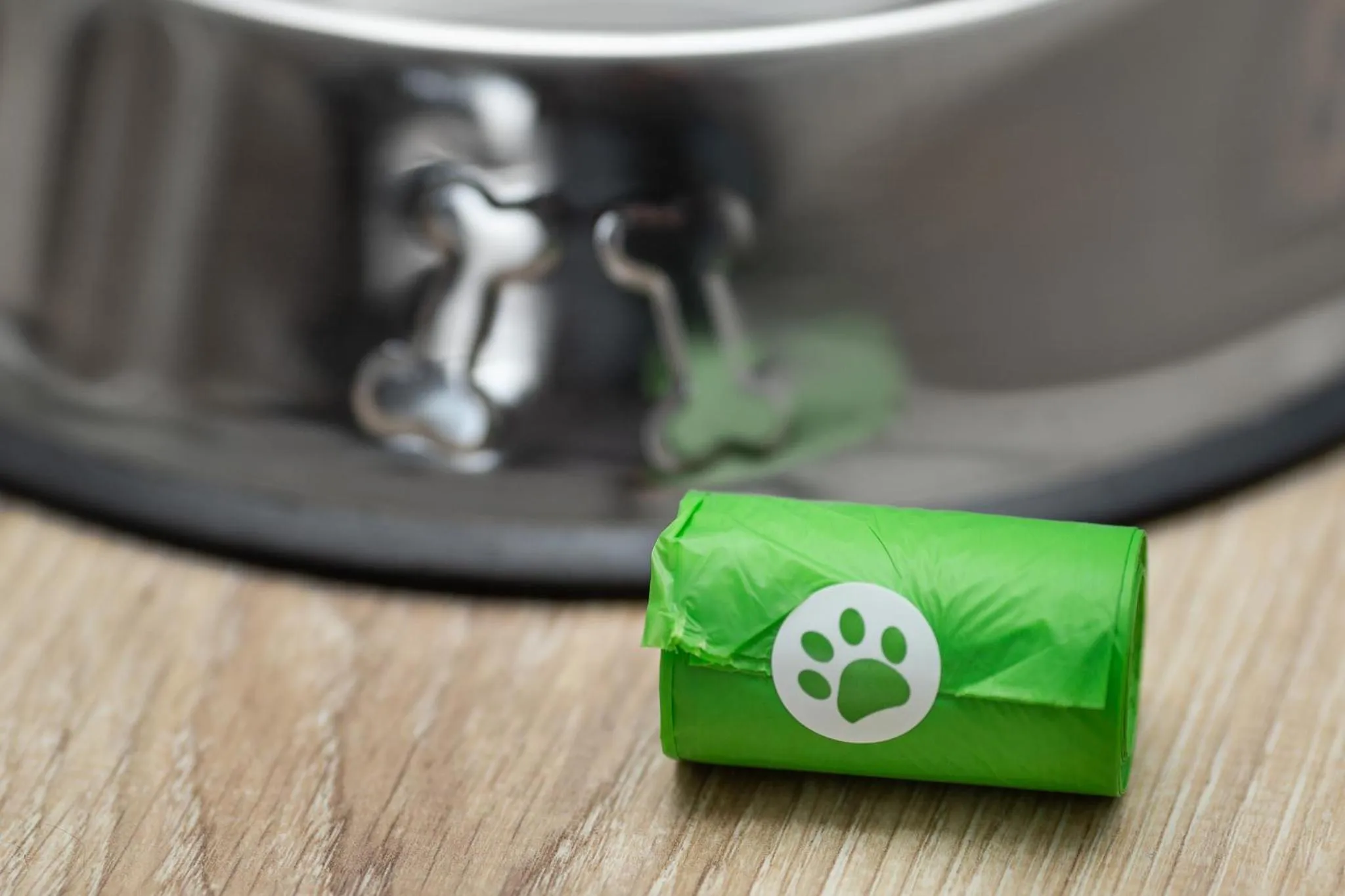 Animals in MARGI Eclipse Apartament COMFY AND BEAUTI