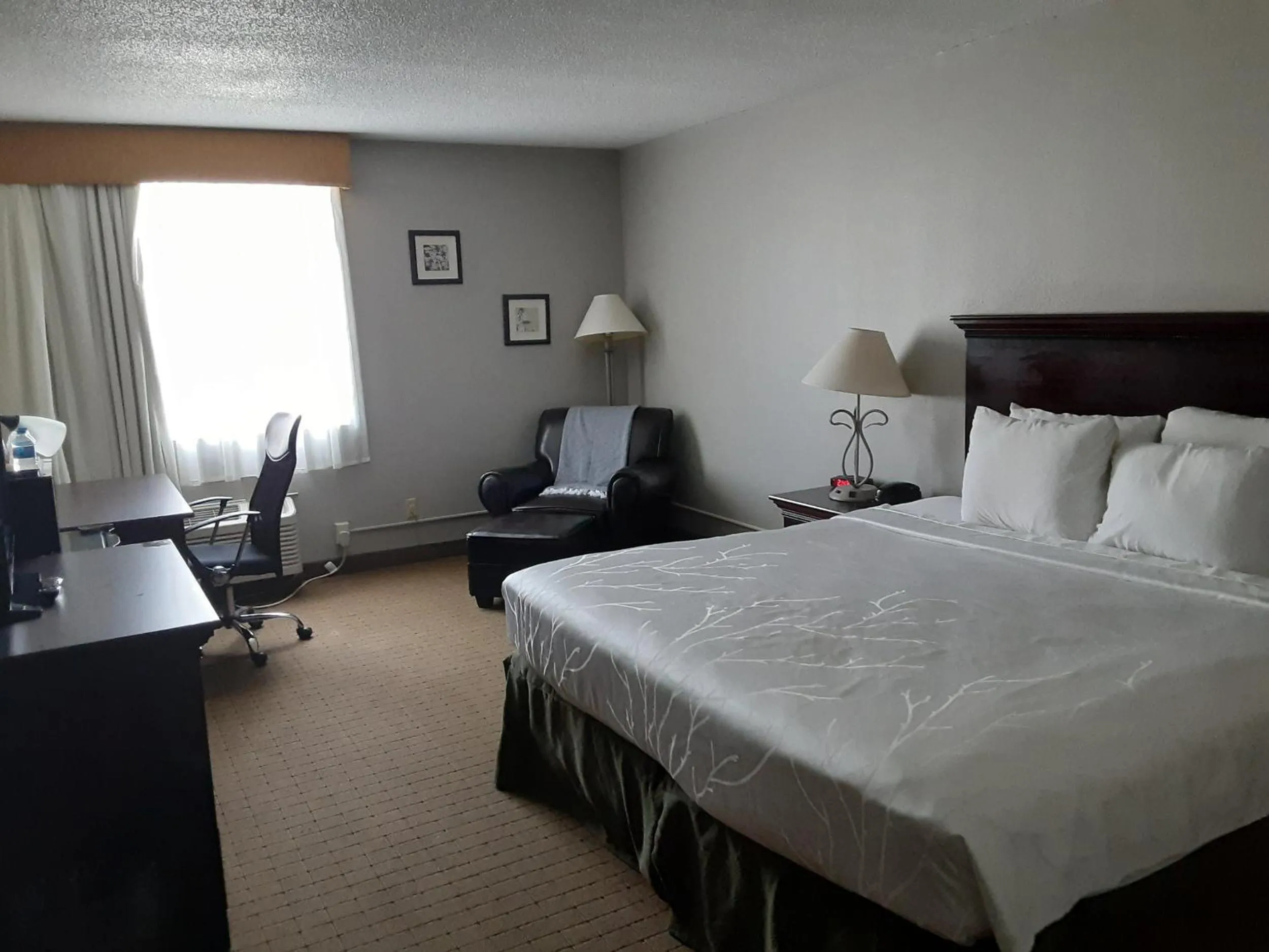 Photo of the whole room in The Dakota