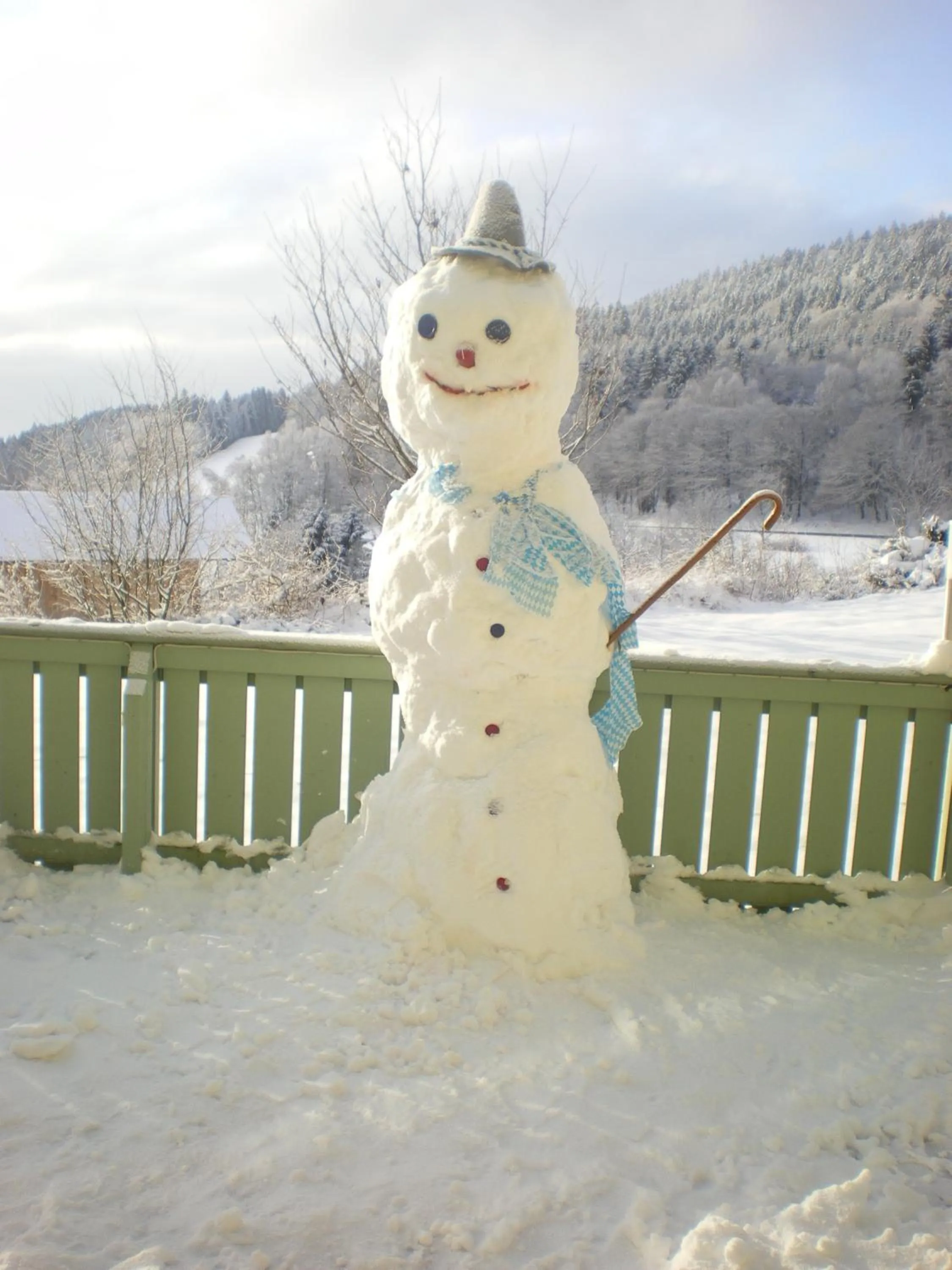 Natural landscape in Gasthof Reiner