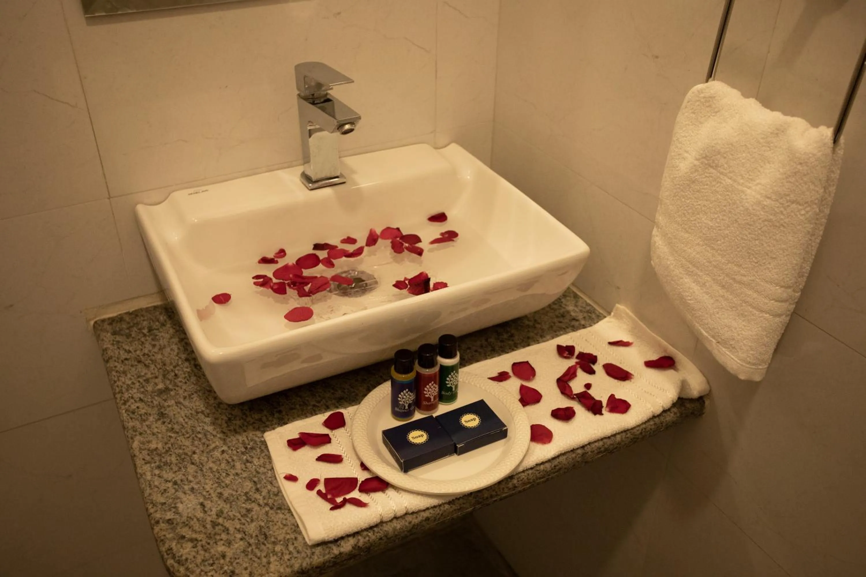 Bathroom in Hotel Bhairav Bagh with Swimming Pool