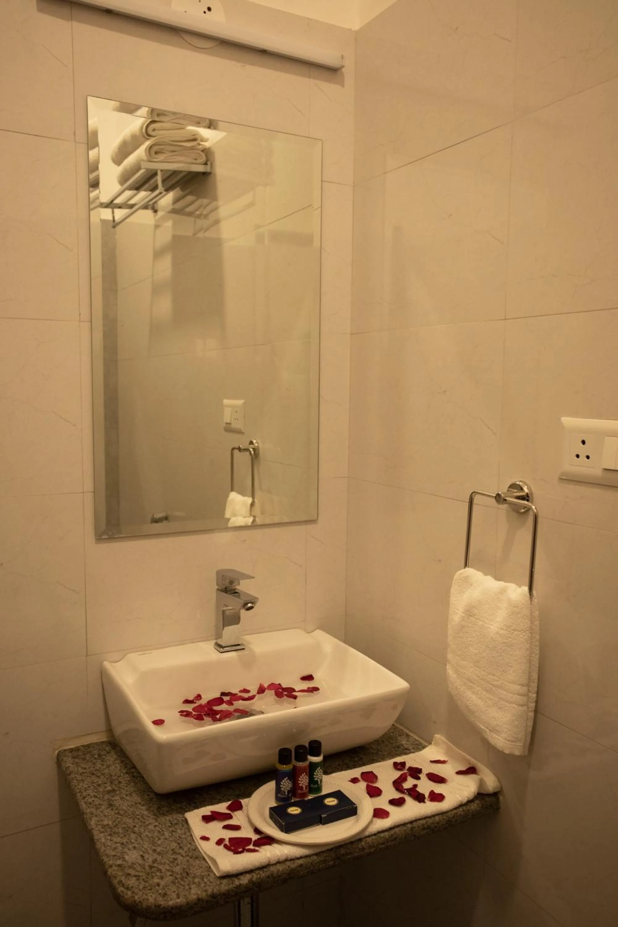 Bathroom in Hotel Bhairav Bagh with Swimming Pool