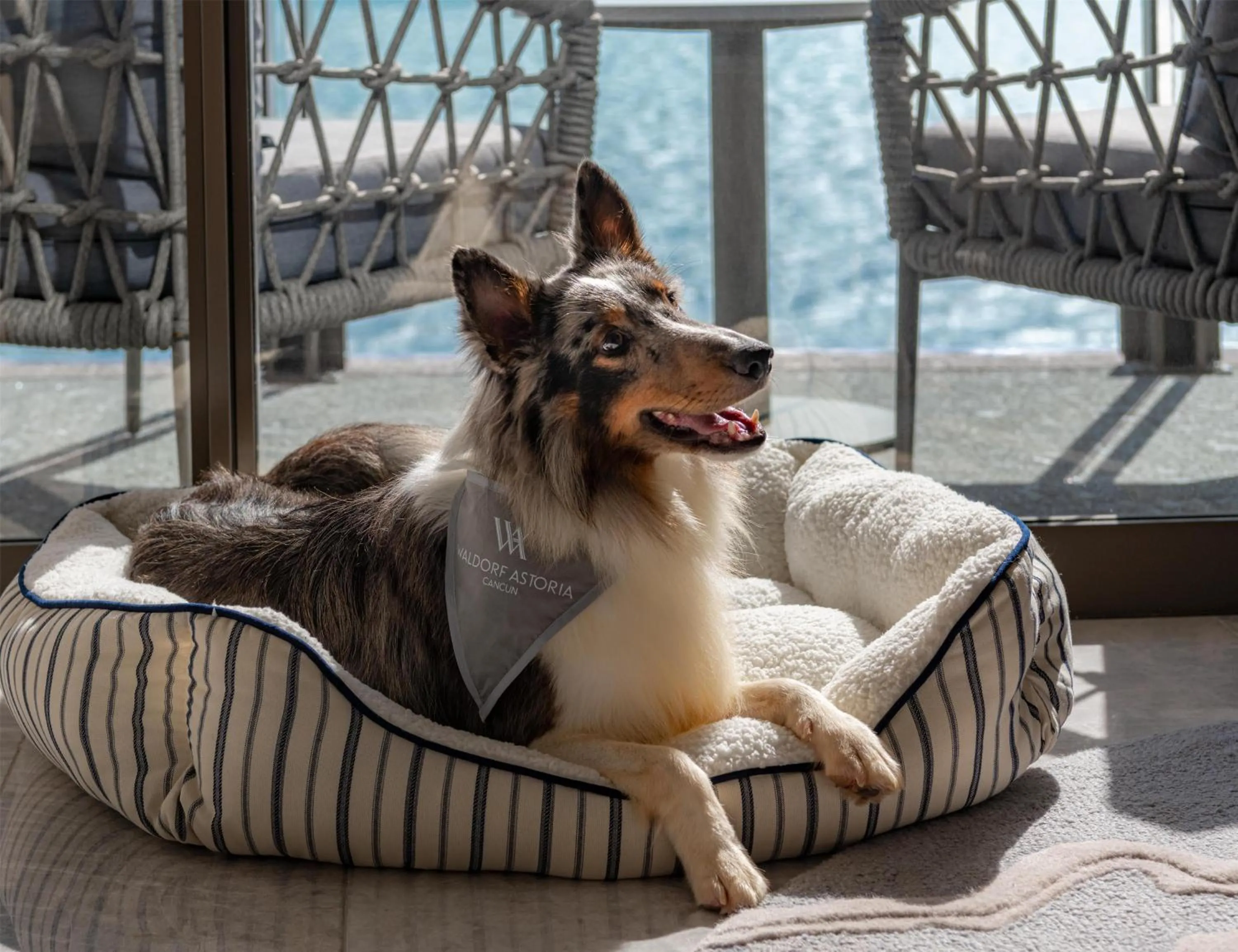 Patio in Waldorf Astoria Riviera Maya