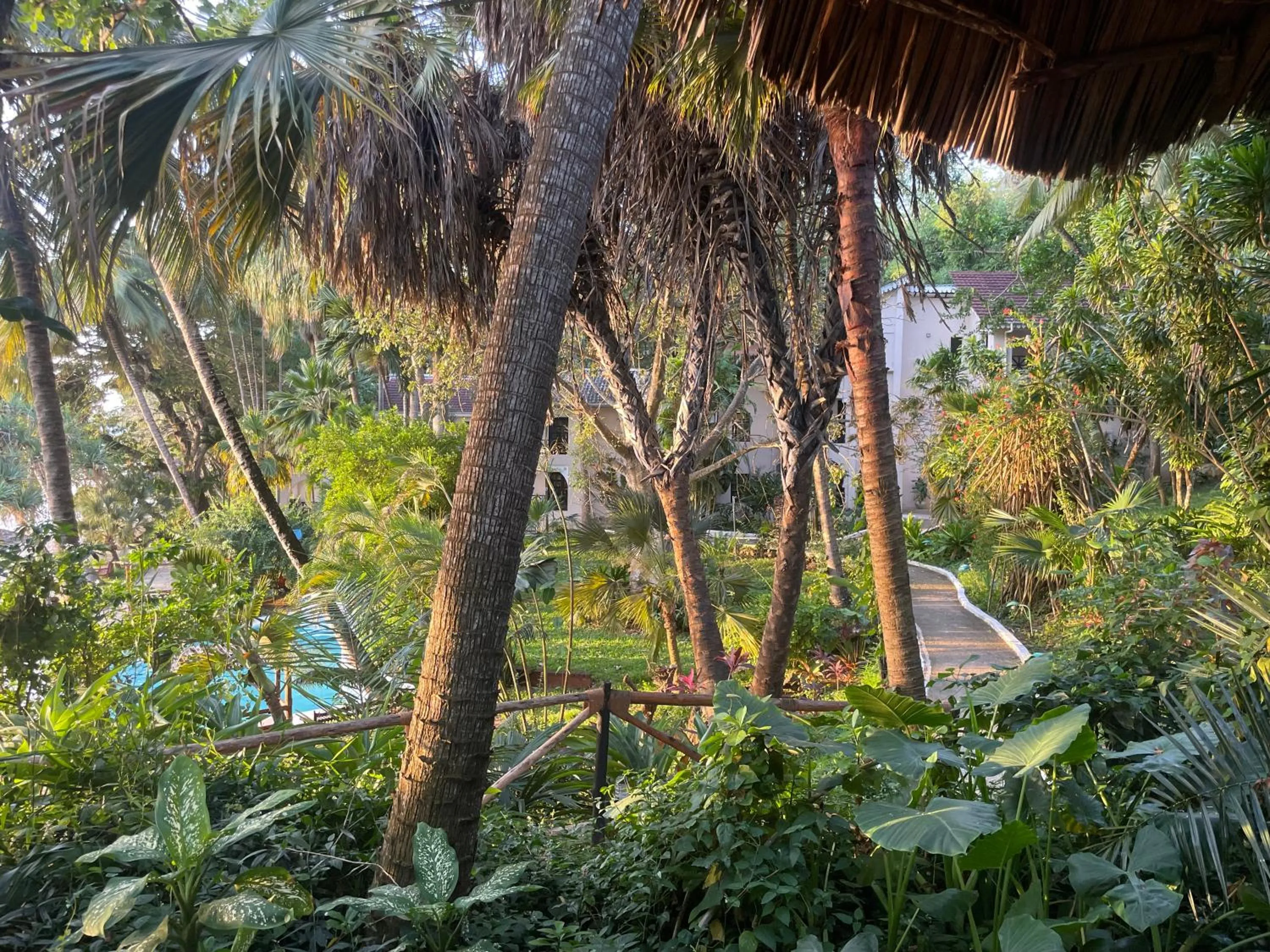 Garden in Mbweni Ruins & Gardens Previously Jungle Paradise