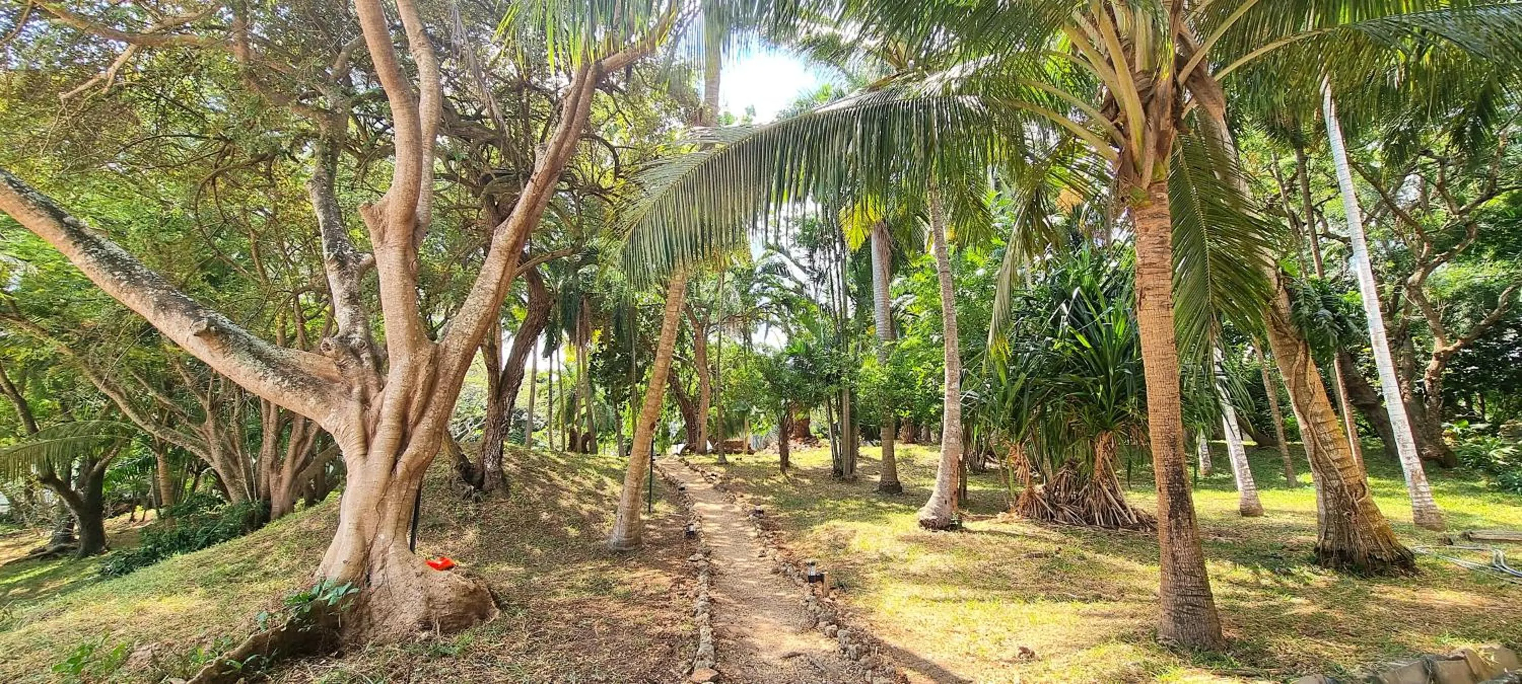 Garden in Mbweni Ruins & Gardens Previously Jungle Paradise