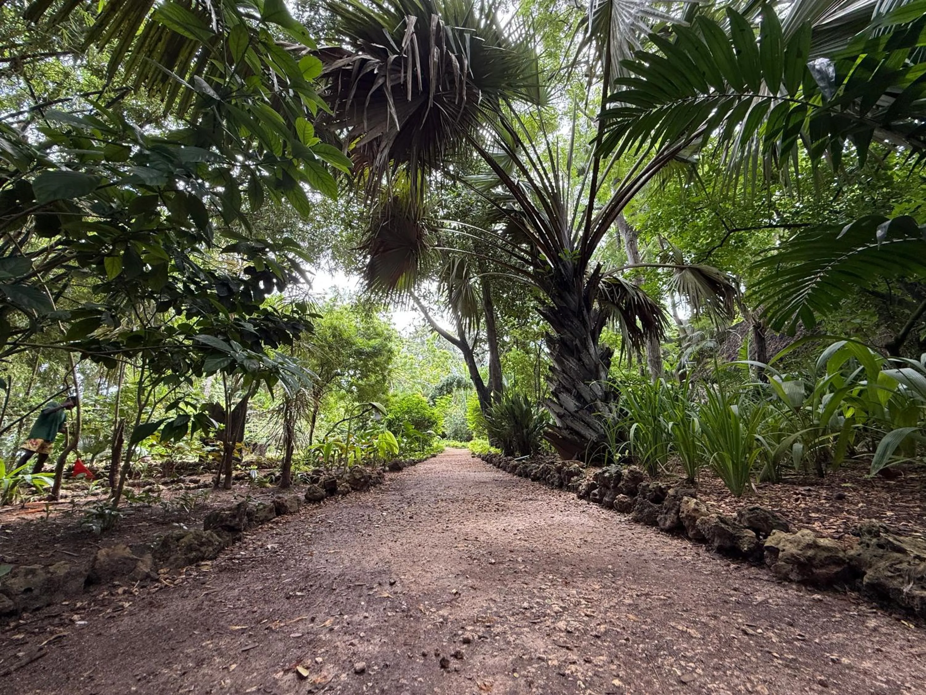 Garden in Mbweni Ruins & Gardens Previously Jungle Paradise