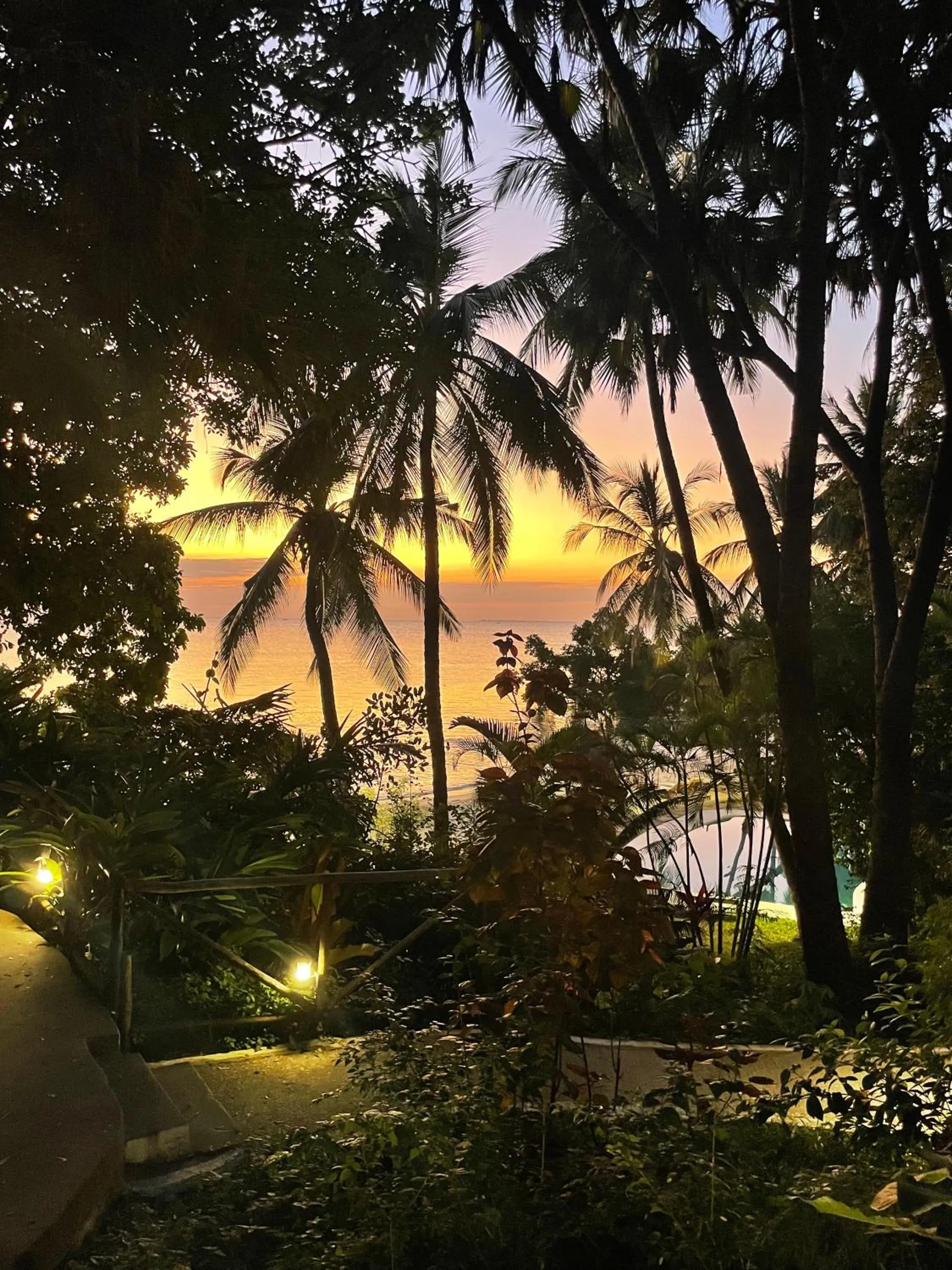 Garden in Mbweni Ruins & Gardens Previously Jungle Paradise