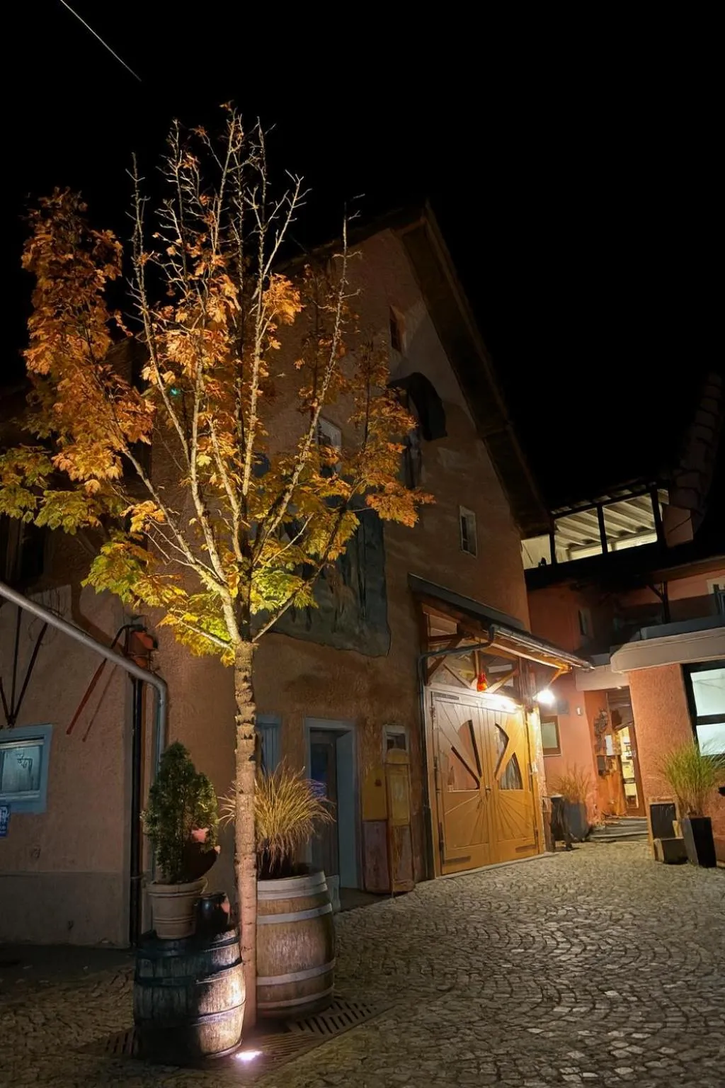 View (from property/room) in Landgasthof Hotel Rebstock