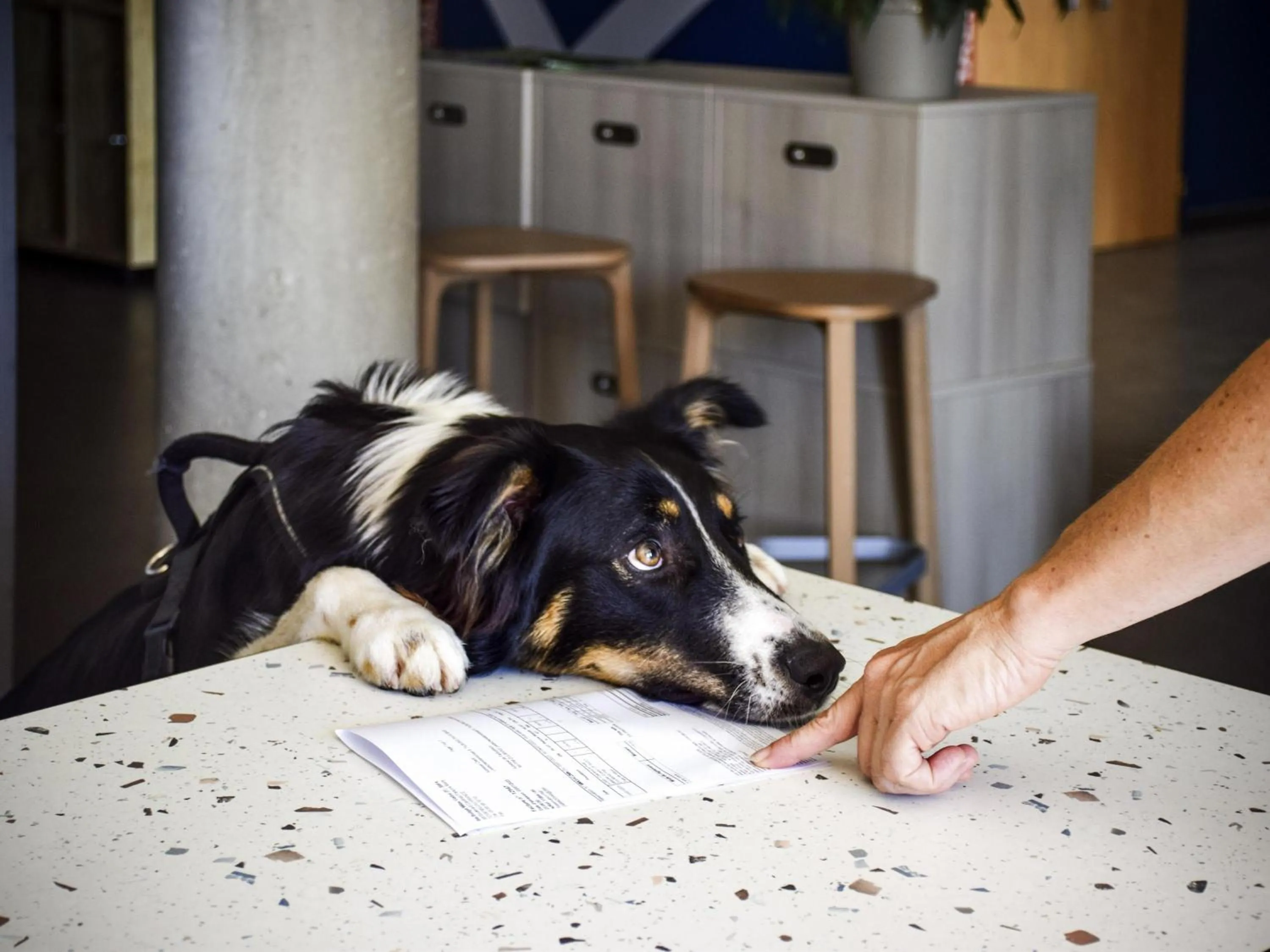 Other in ibis Budget Millau Viaduc