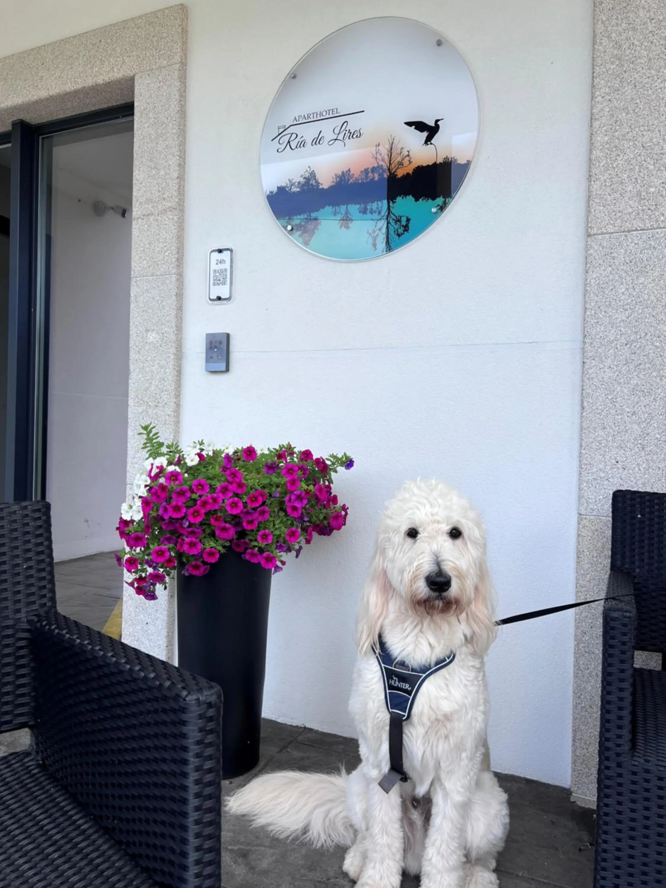 Animals in Aparthotel Ría de Lires