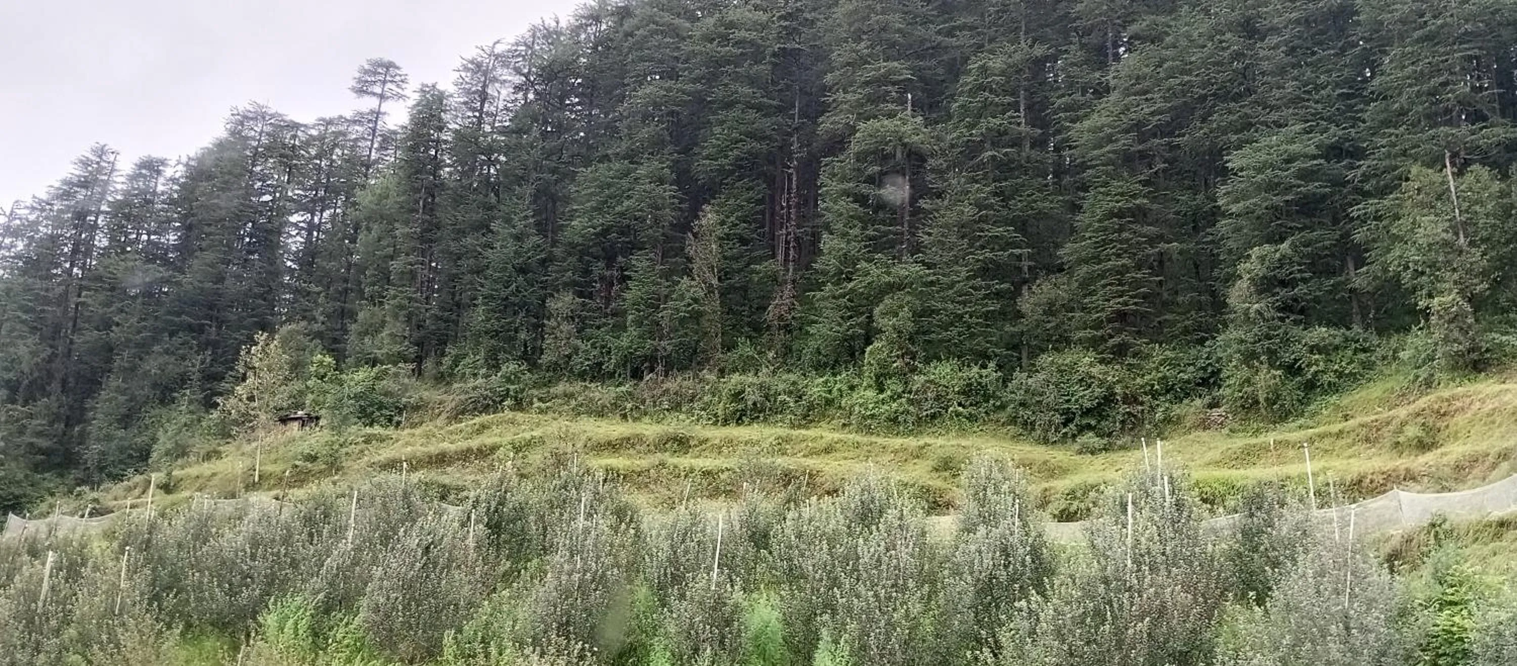 View (from property/room) in The Jungle Mountain Retreat