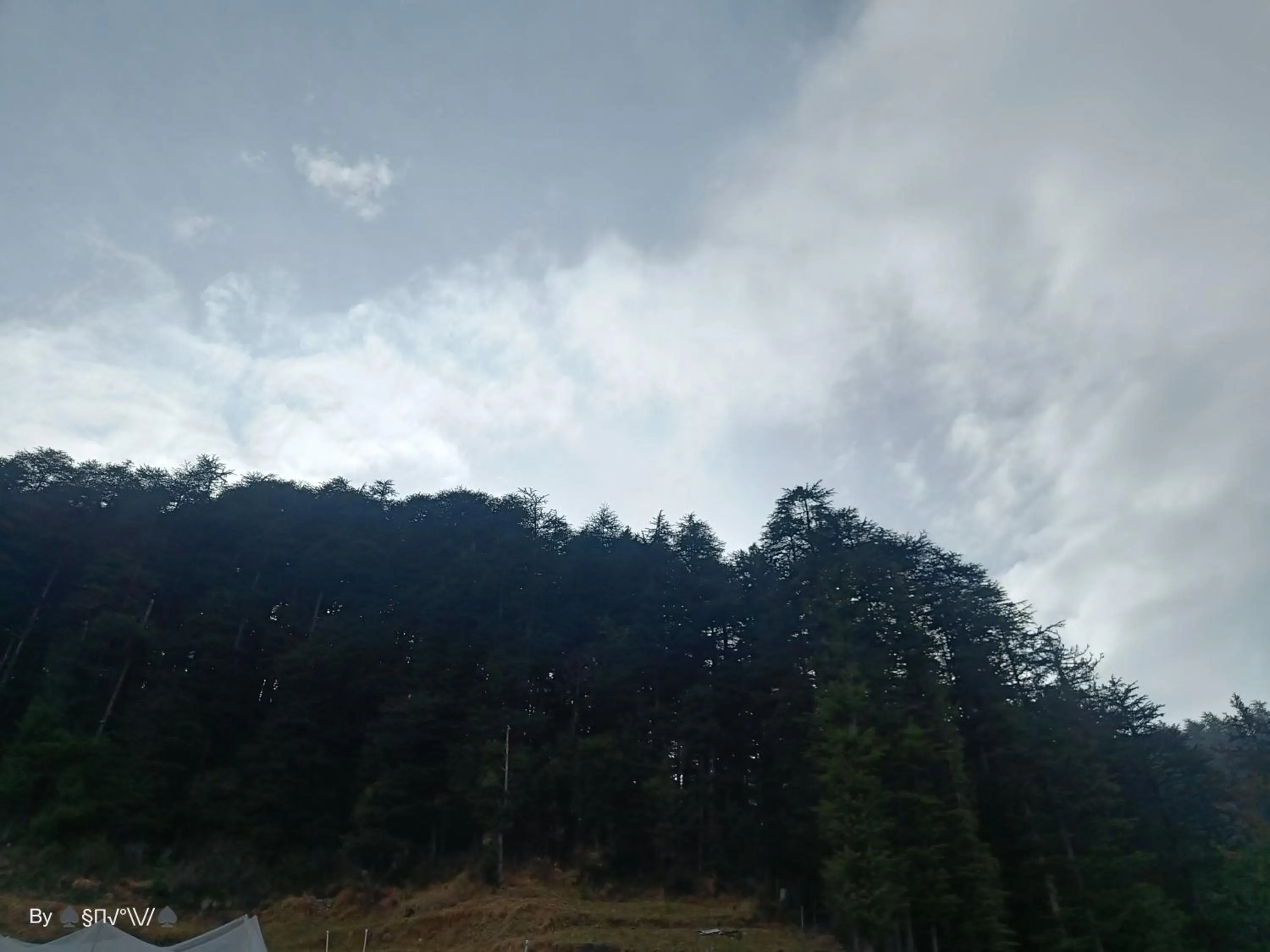 View (from property/room) in The Jungle Mountain Retreat