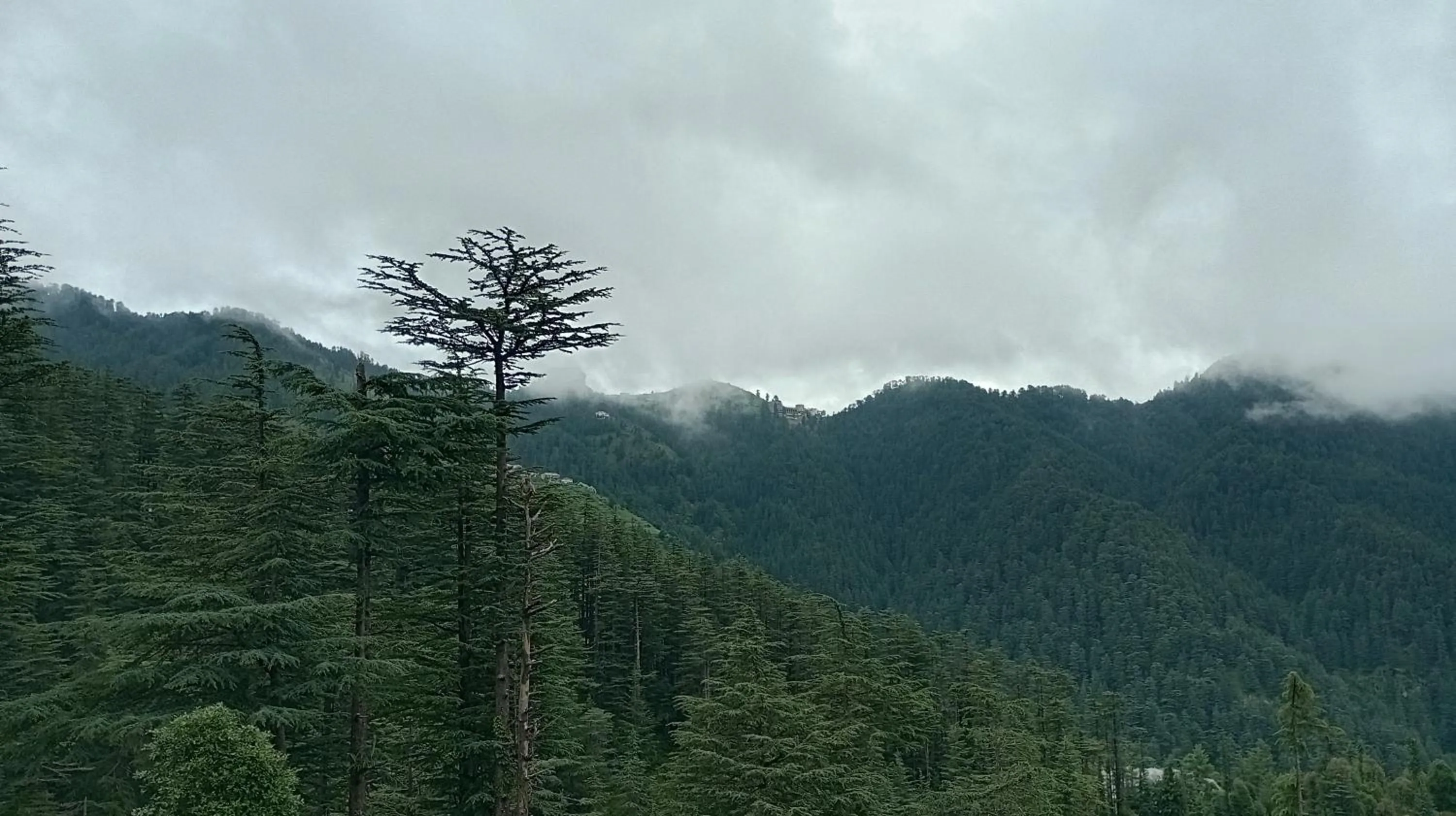 View (from property/room) in The Jungle Mountain Retreat