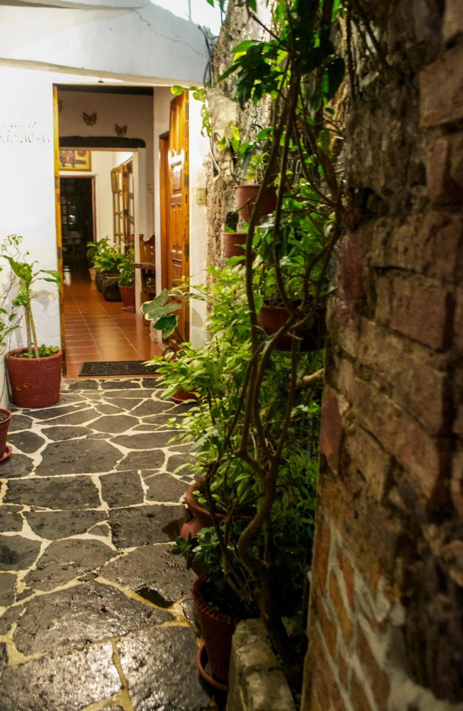 Patio in Hotel Mi Casita