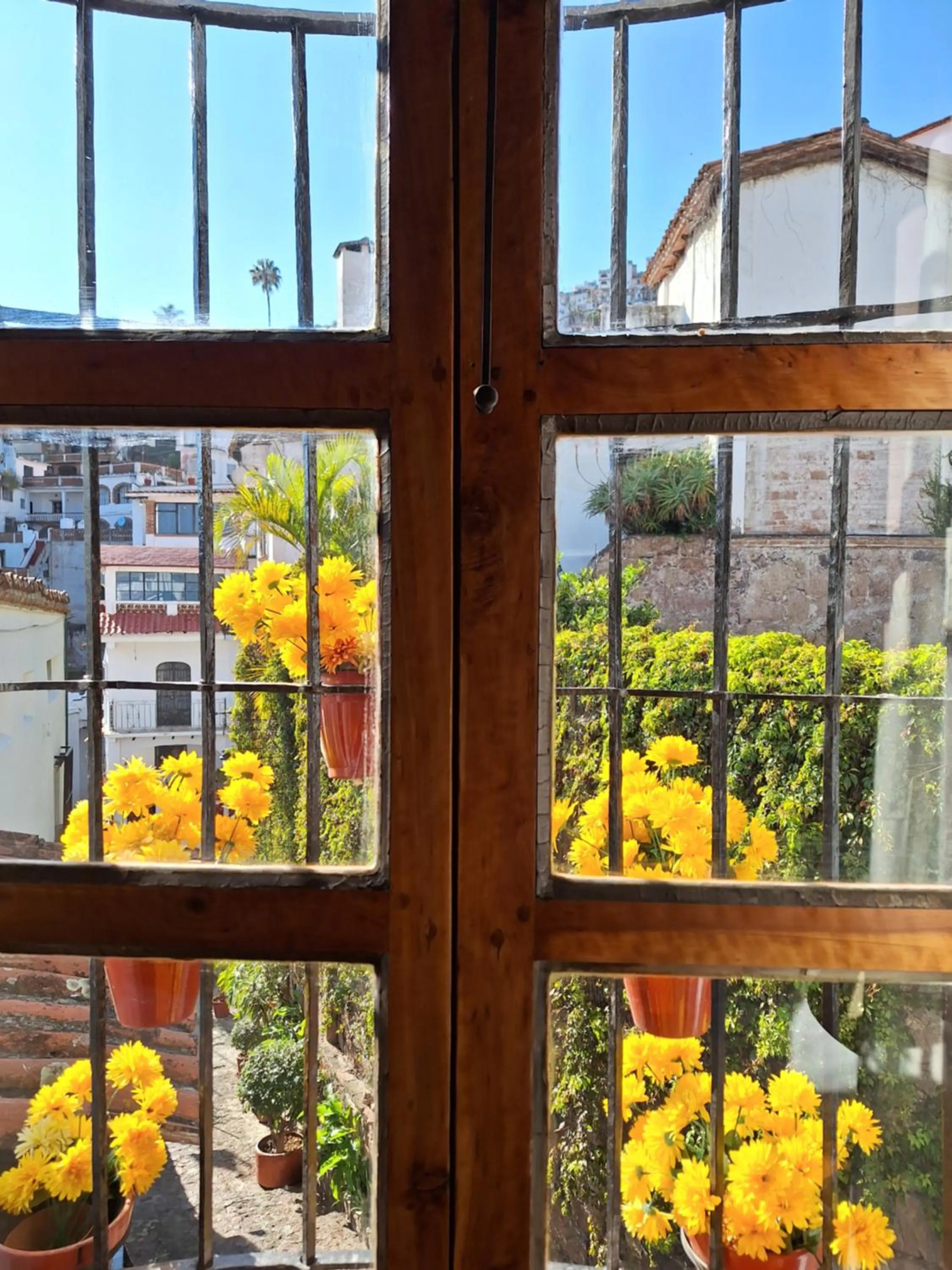 View (from property/room) in Hotel Mi Casita