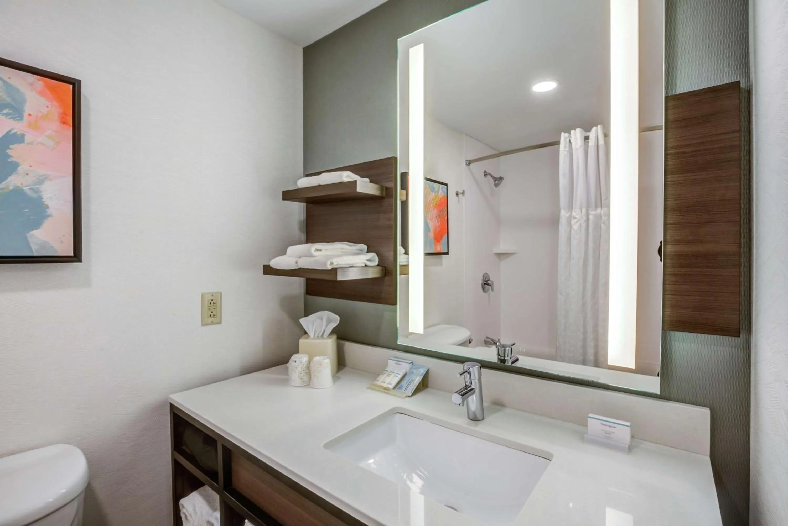 Bathroom in Hilton Garden Inn Boston Waltham