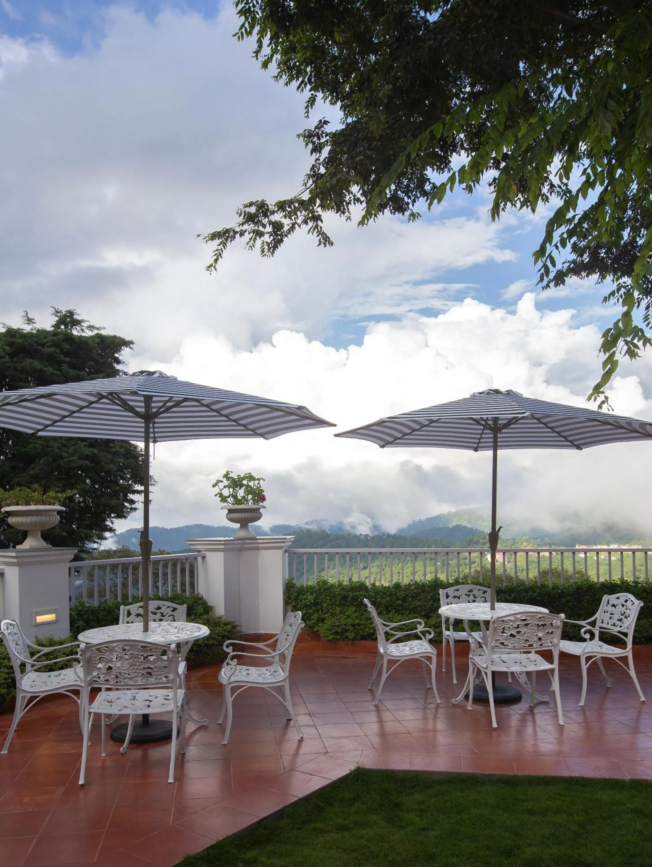 Restaurant/places to eat in Daleside Manor, Boutique Hotel, Kasauli