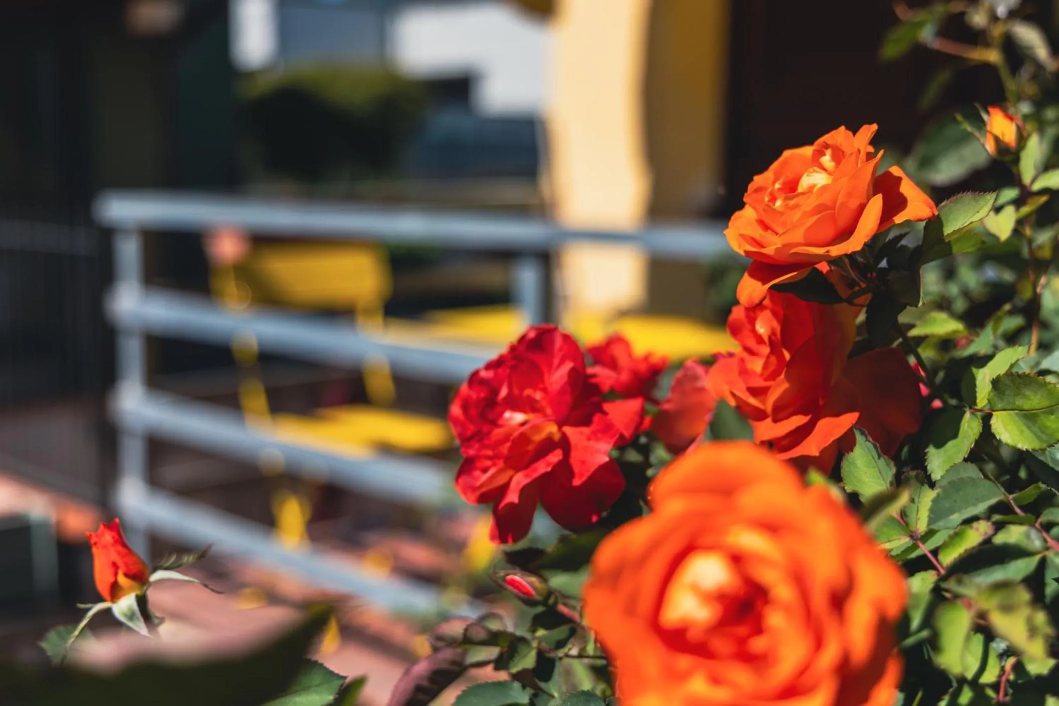 Balcony/Terrace in Santa Maria Apartments