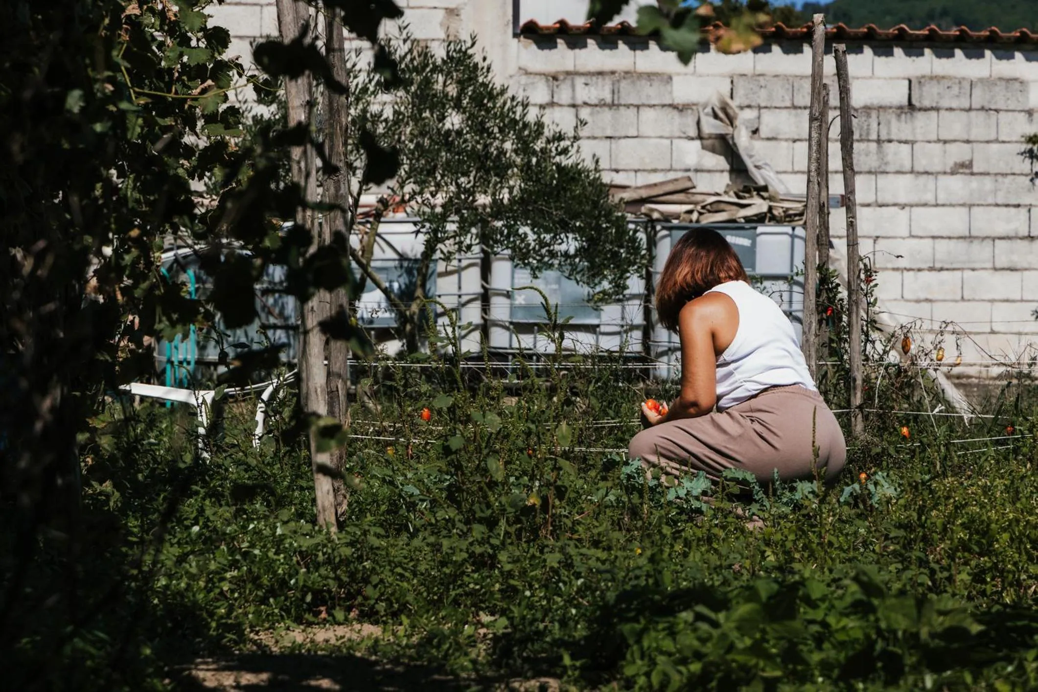 Spring in Santa Maria Apartments