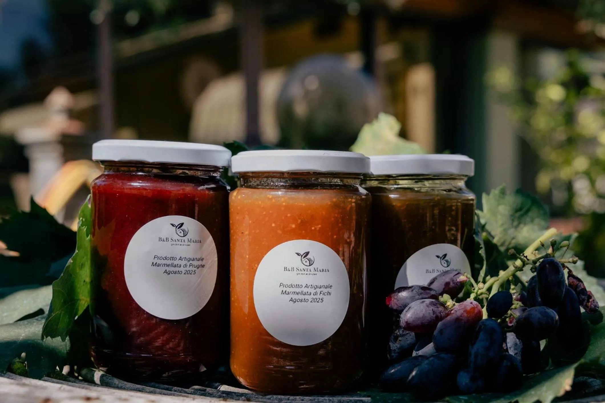 Day in Santa Maria Apartments