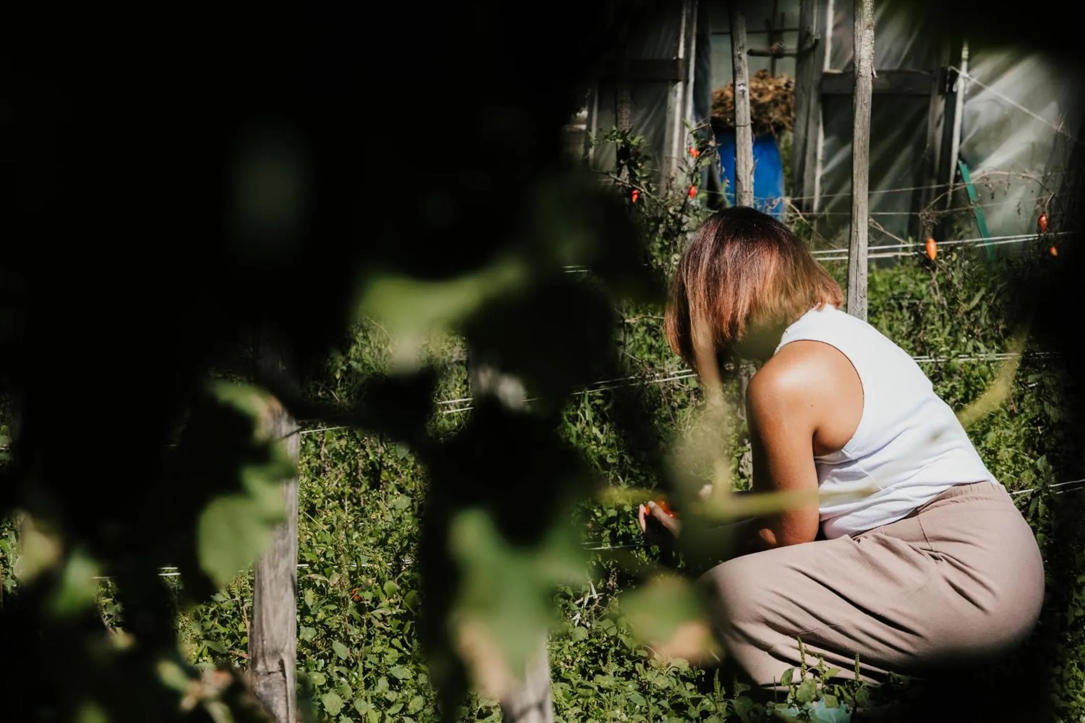 Spring in Santa Maria Apartments