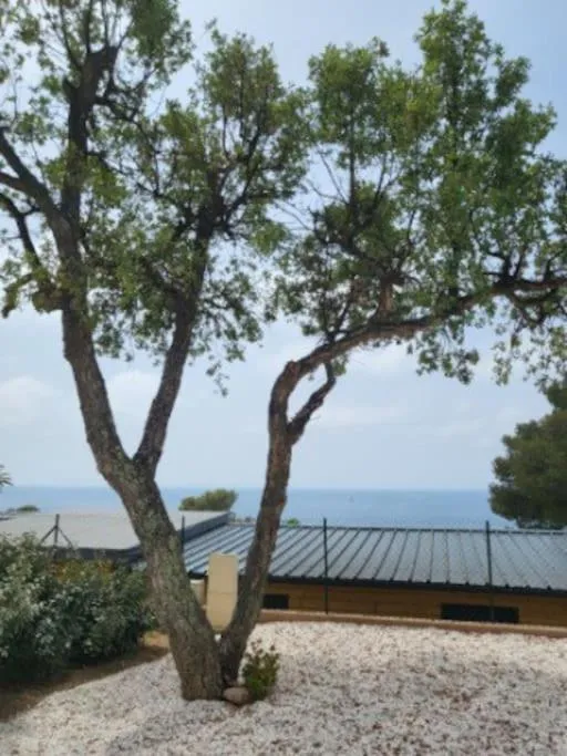 Camping L'ILE D'OR