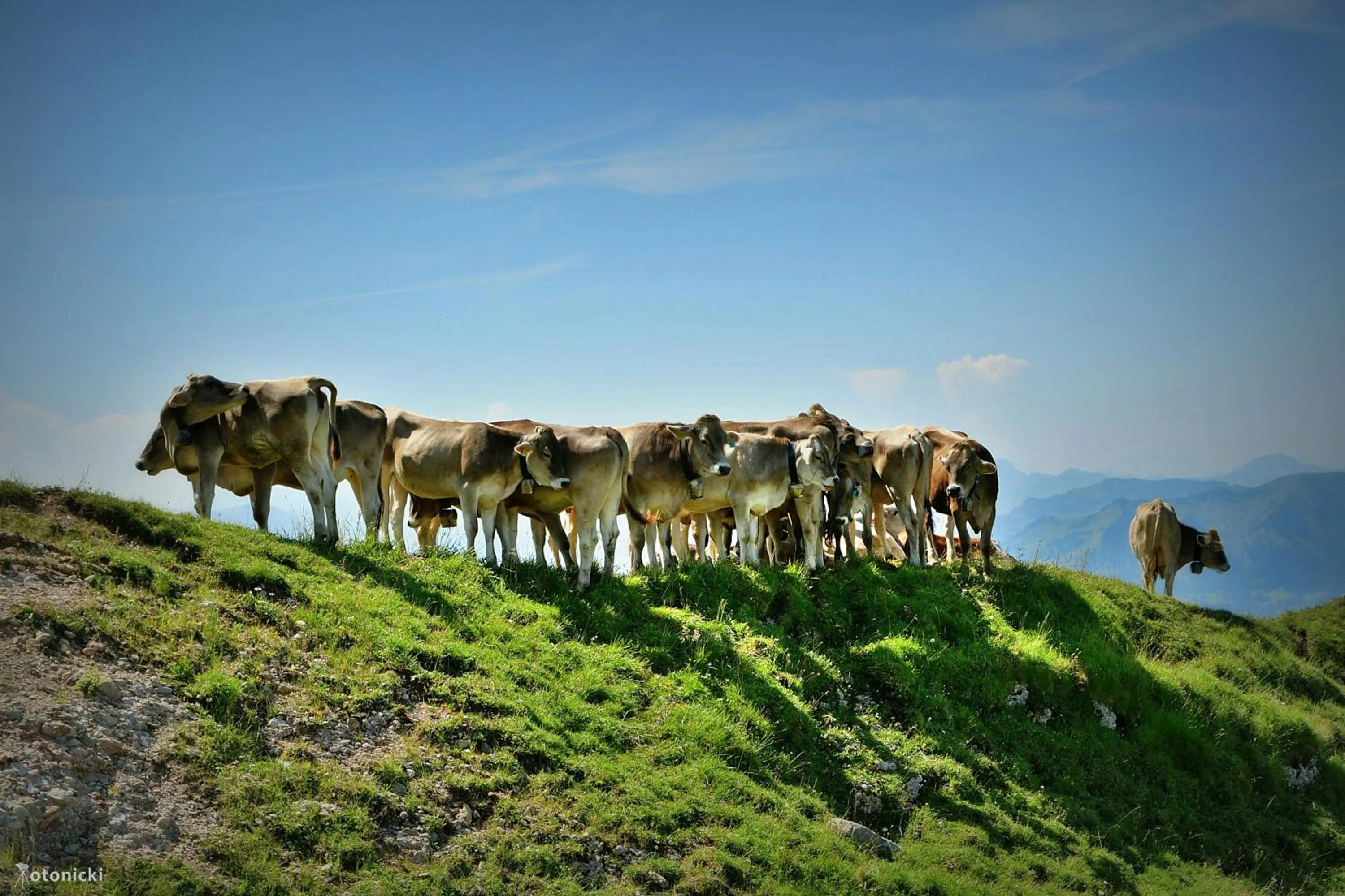 Staff in Lindenberger Hof