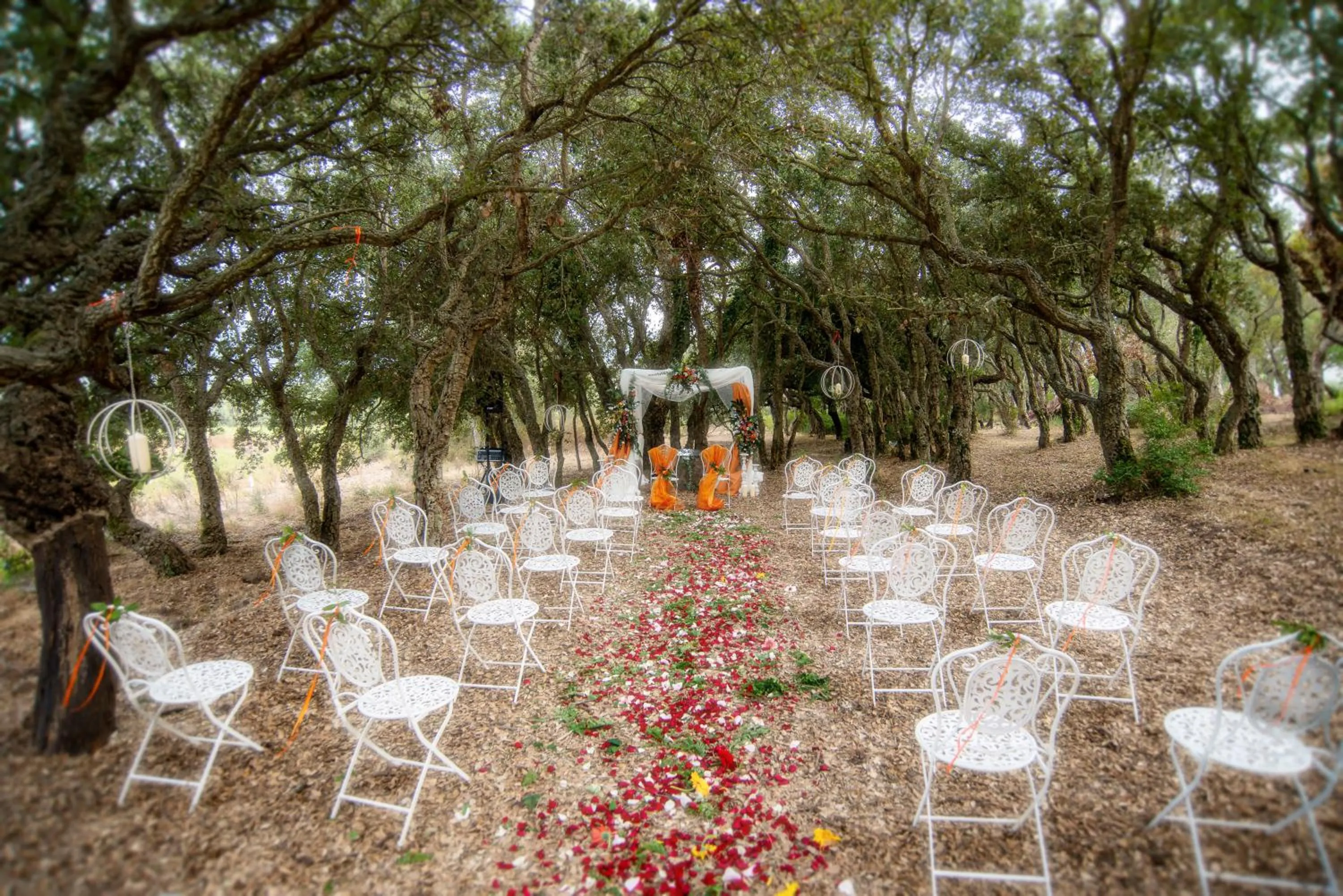 Garden in S'ena Hotel
