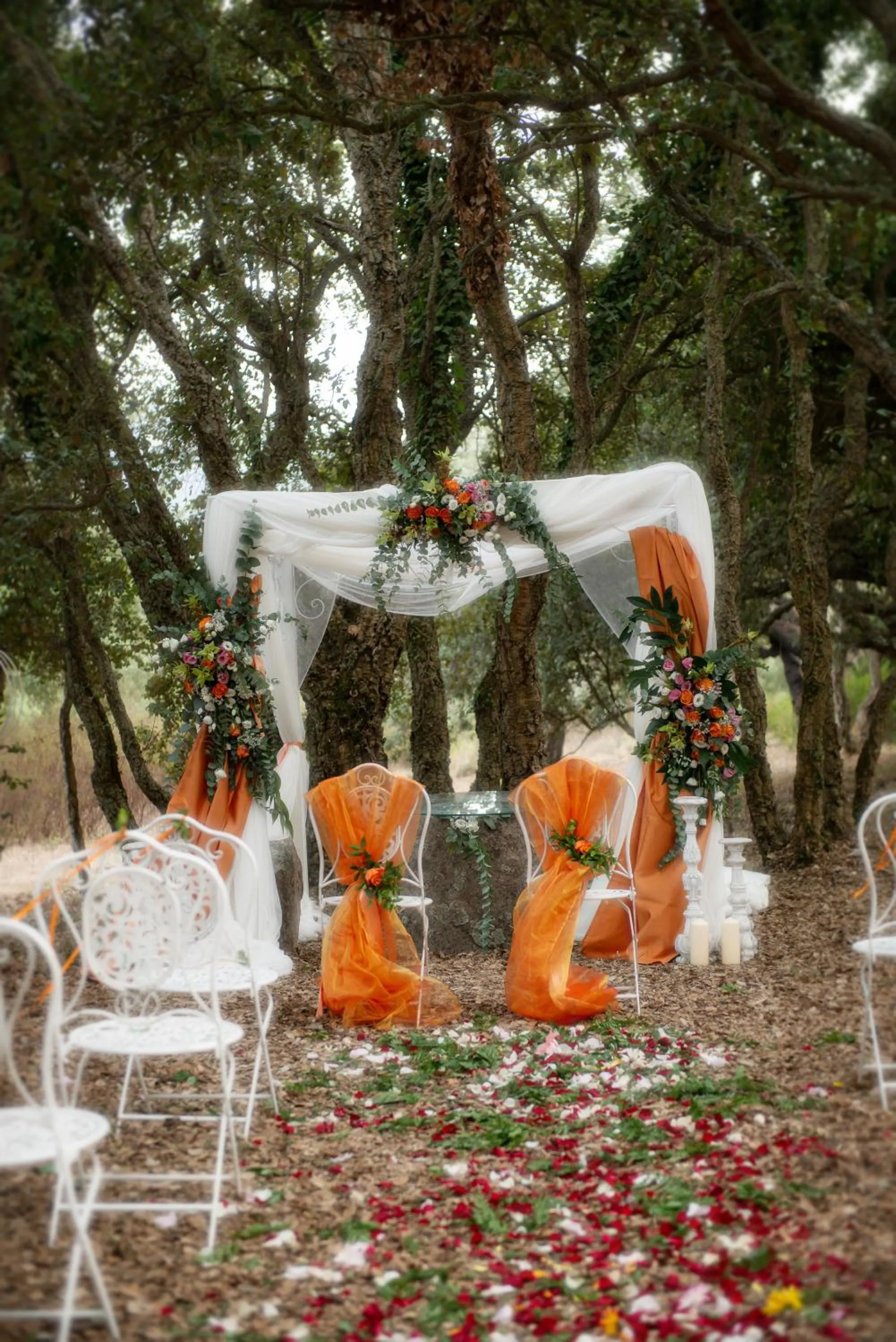 Garden in S'ena Hotel
