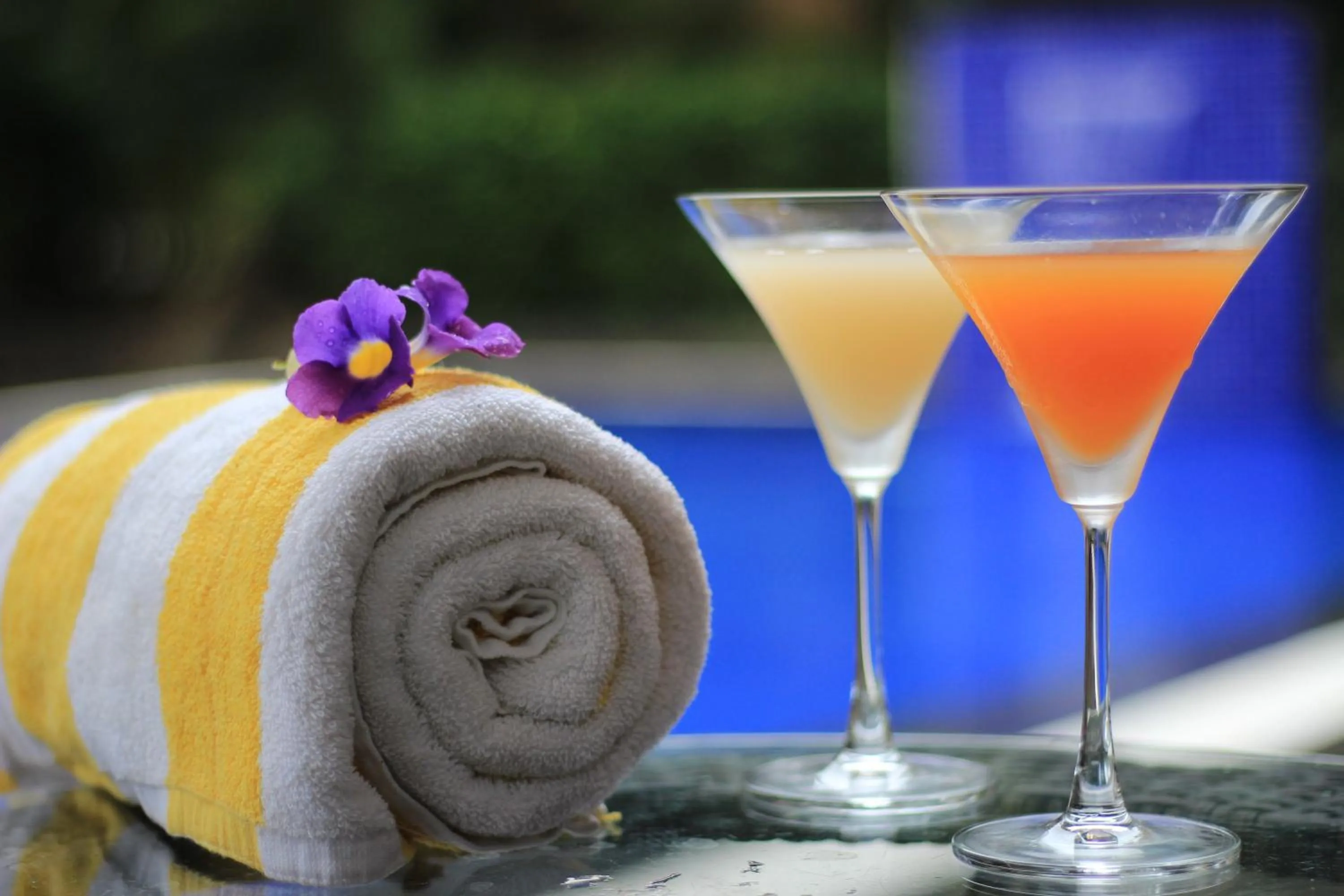 Drinks in Regenta Jungle Resort Kabini Springs