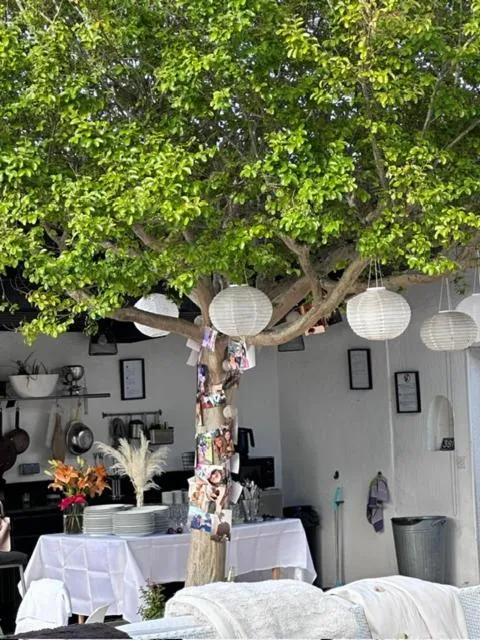 Summer in Croissant de Lune