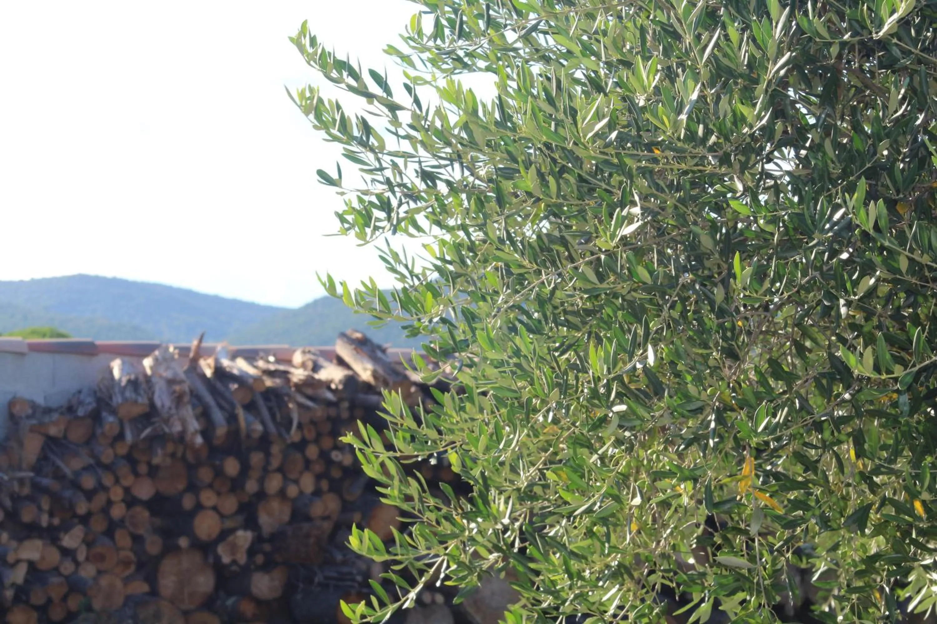 Spring in Croissant de Lune