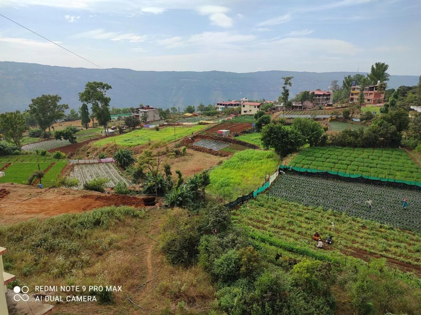 Hotel Green Exotica Mahabaleshwar