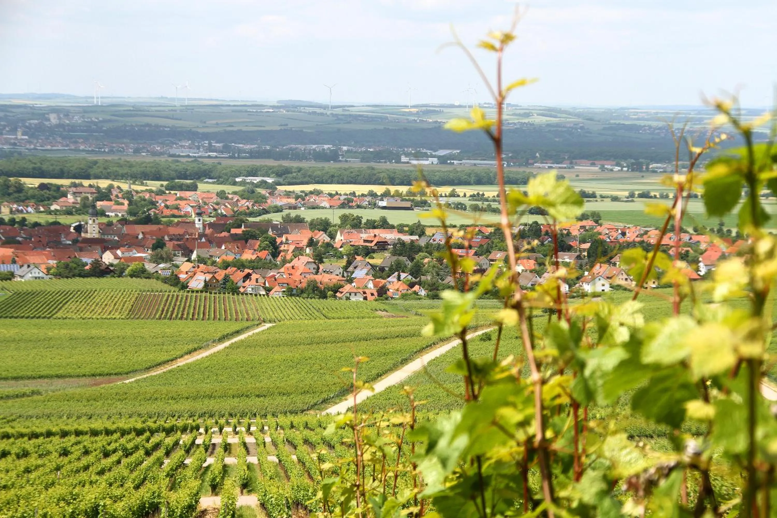 View (from property/room) in Hotel & Gasthof zum Rödelseer Schwan