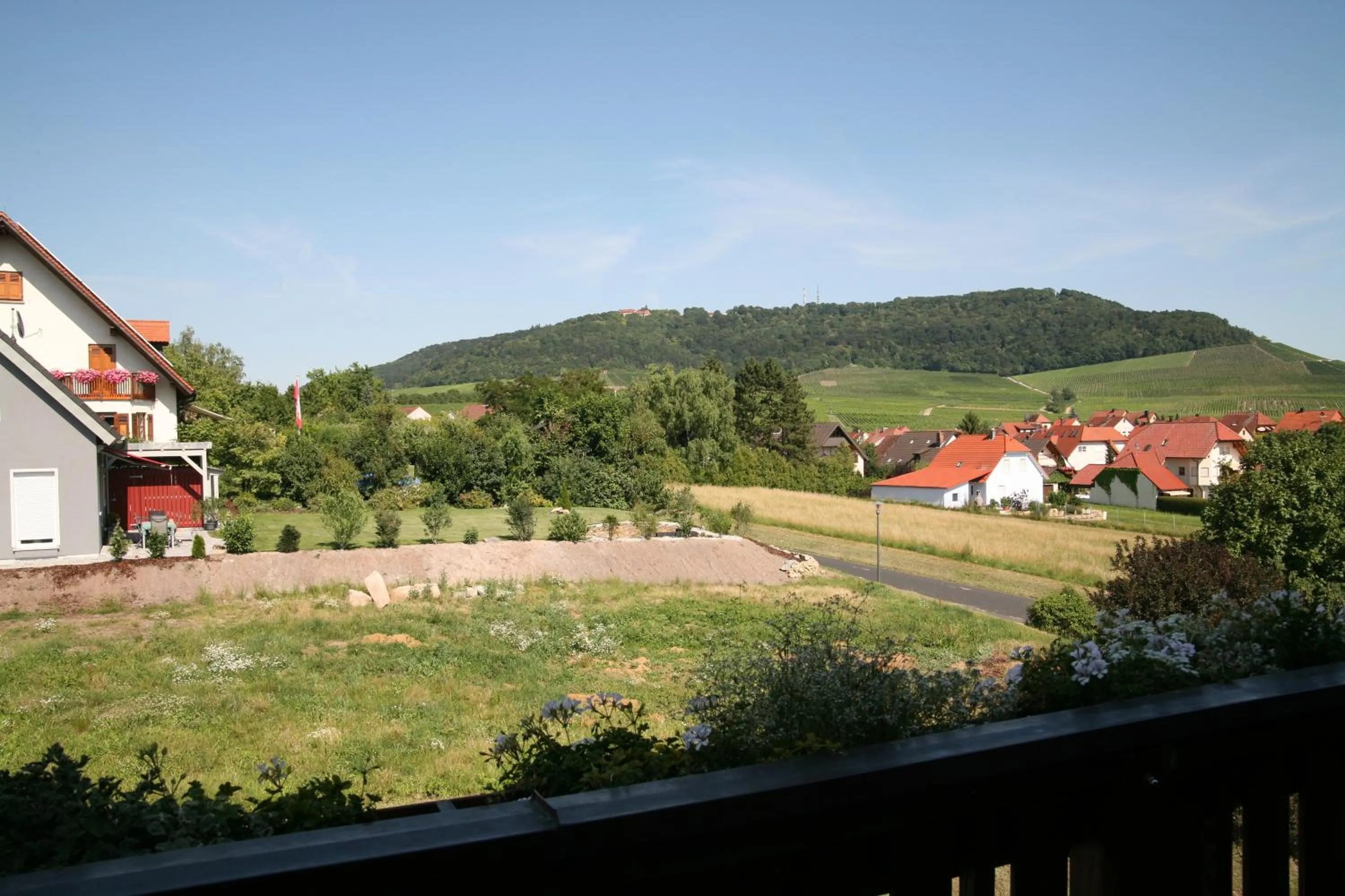 Neighbourhood in Hotel & Gasthof zum Rödelseer Schwan