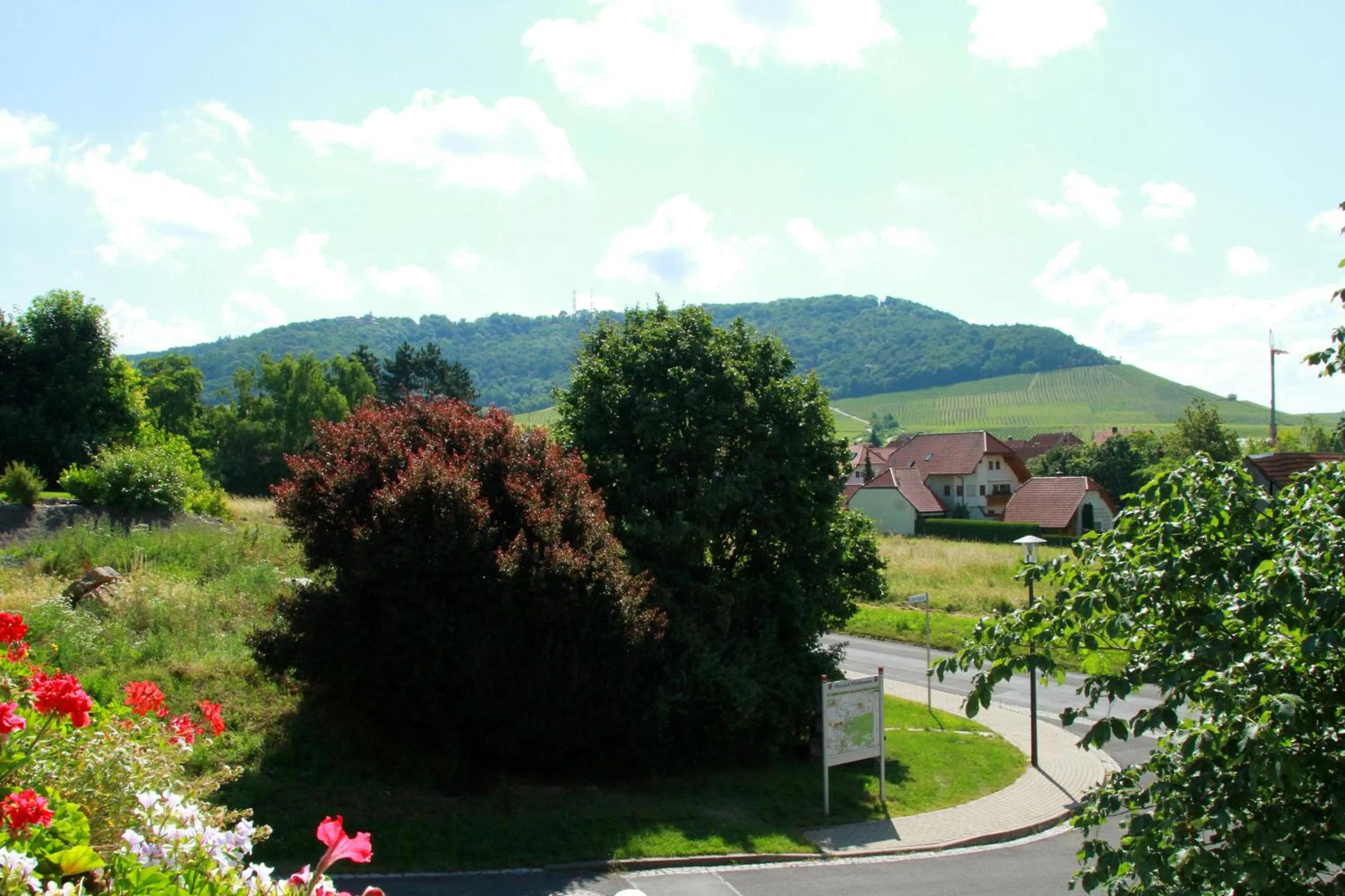 View (from property/room) in Hotel & Gasthof zum Rödelseer Schwan