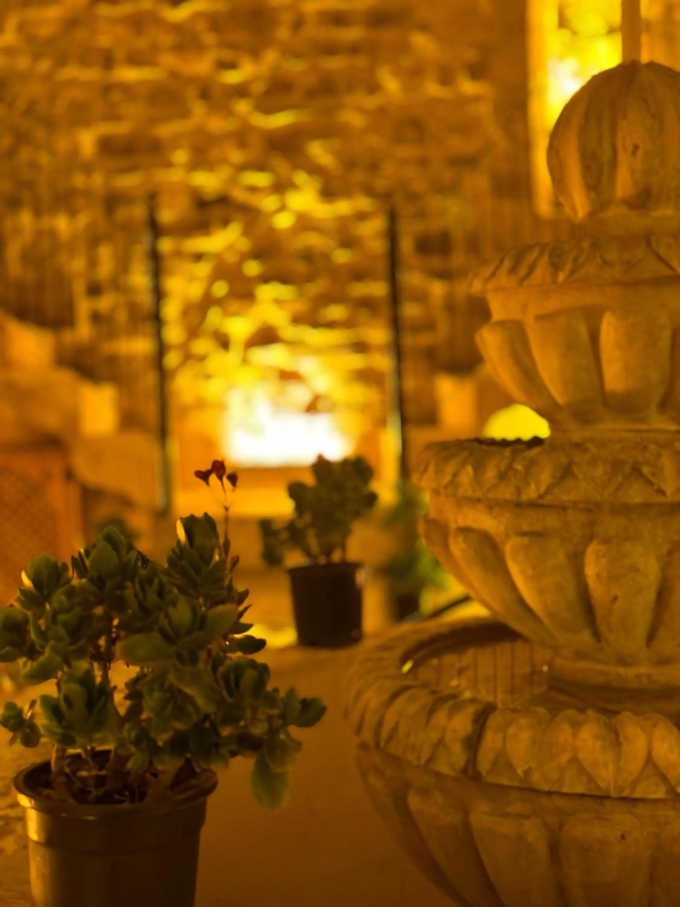 Garden in Tessera Hotel