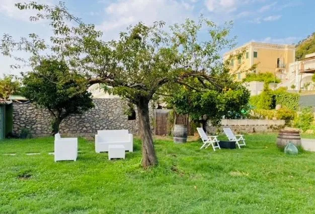 Garden in Numero20 B&B