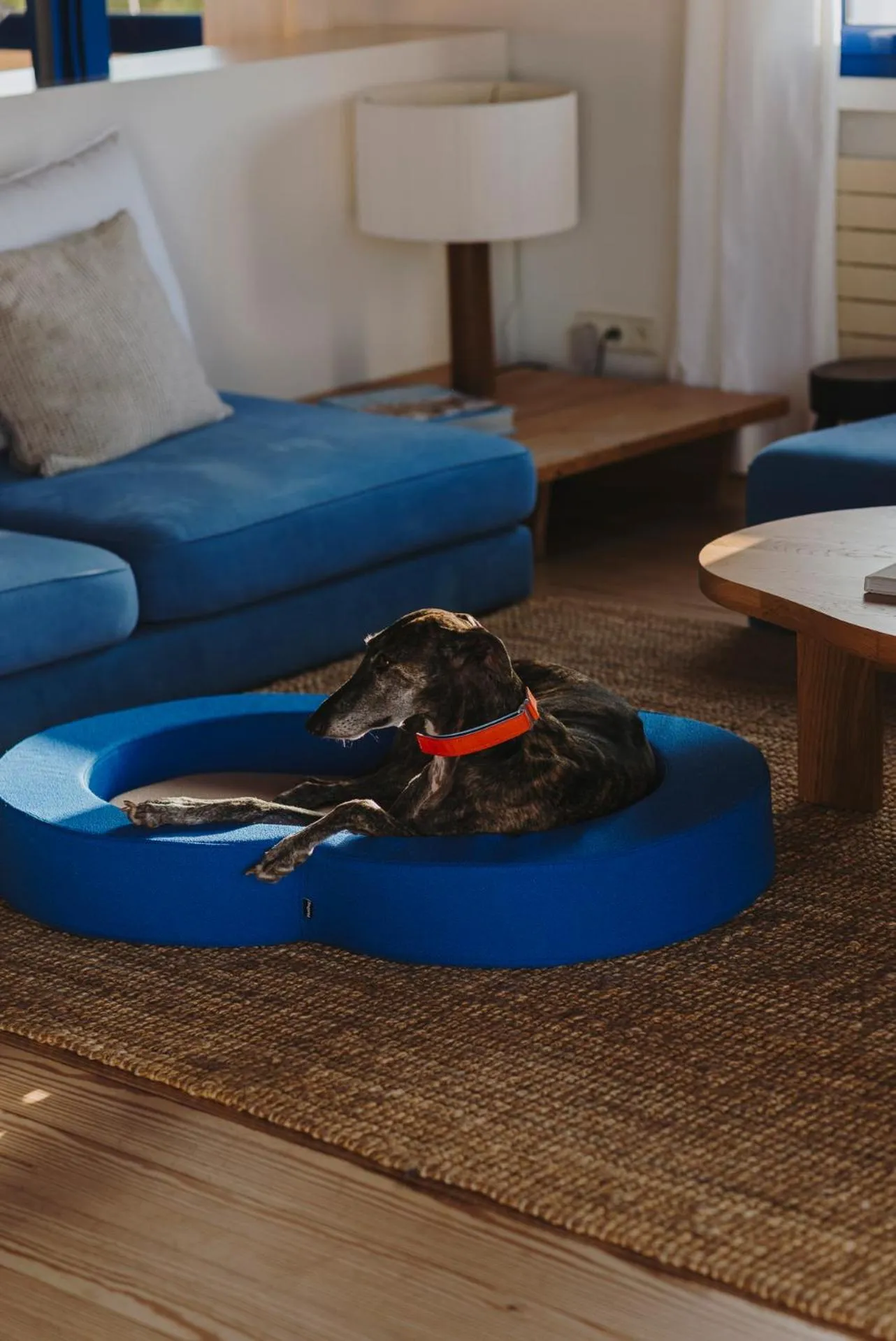 Pets in Hotel Casa Nereta