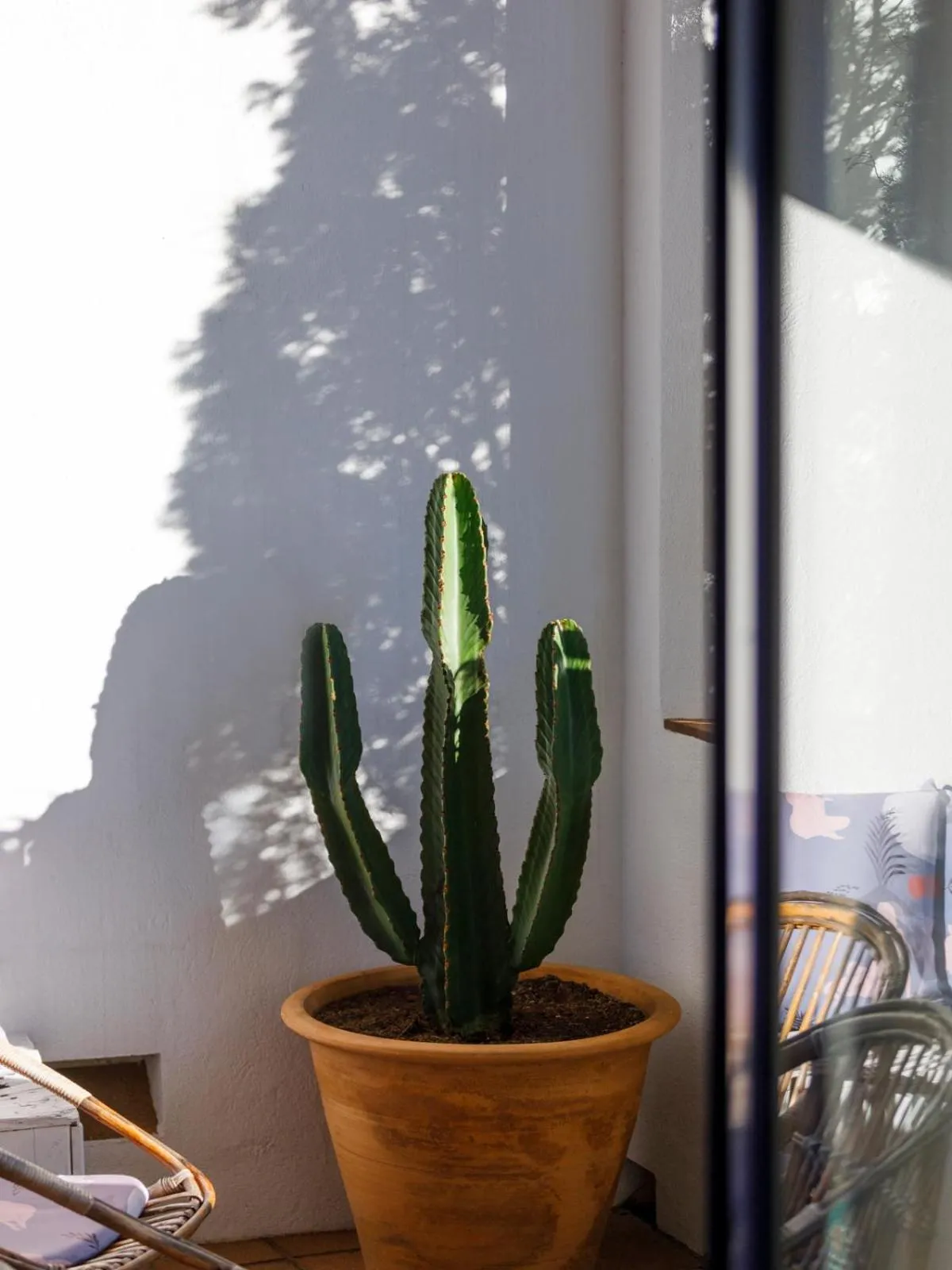 Balcony/Terrace in Hotel Casa Nereta