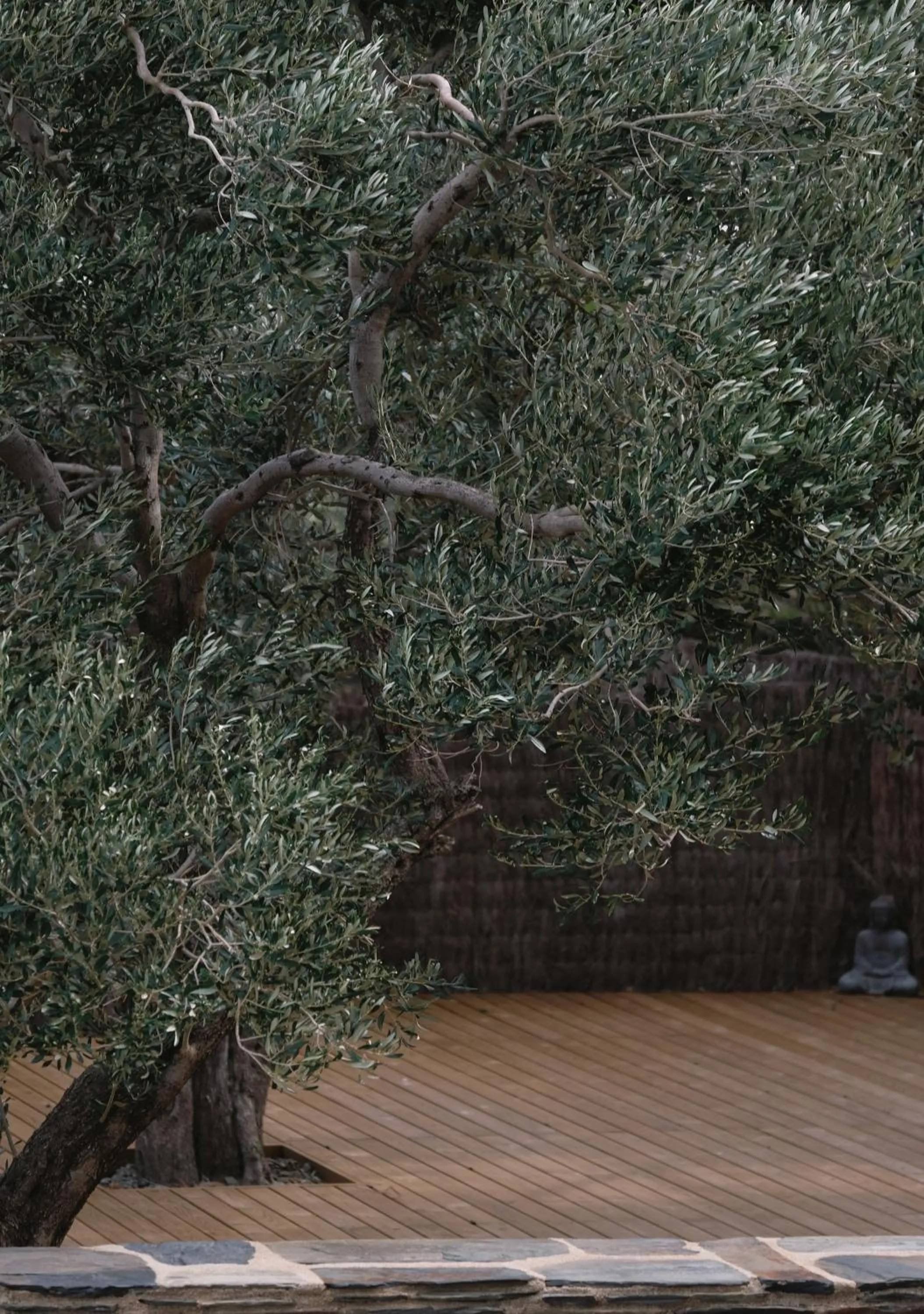 Garden in Hotel Casa Nereta