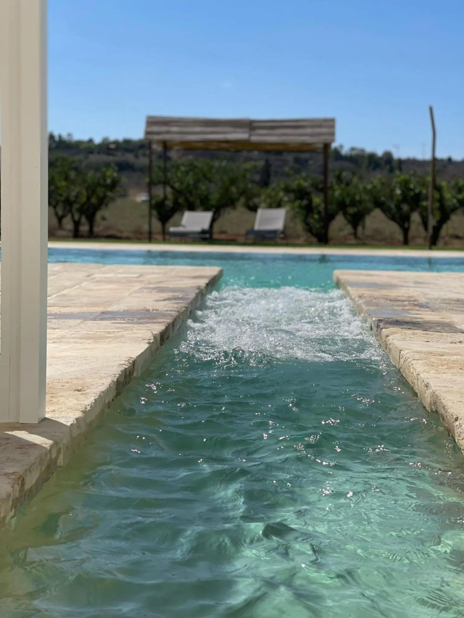 Swimming pool in Masseria Rifisa AgriResort