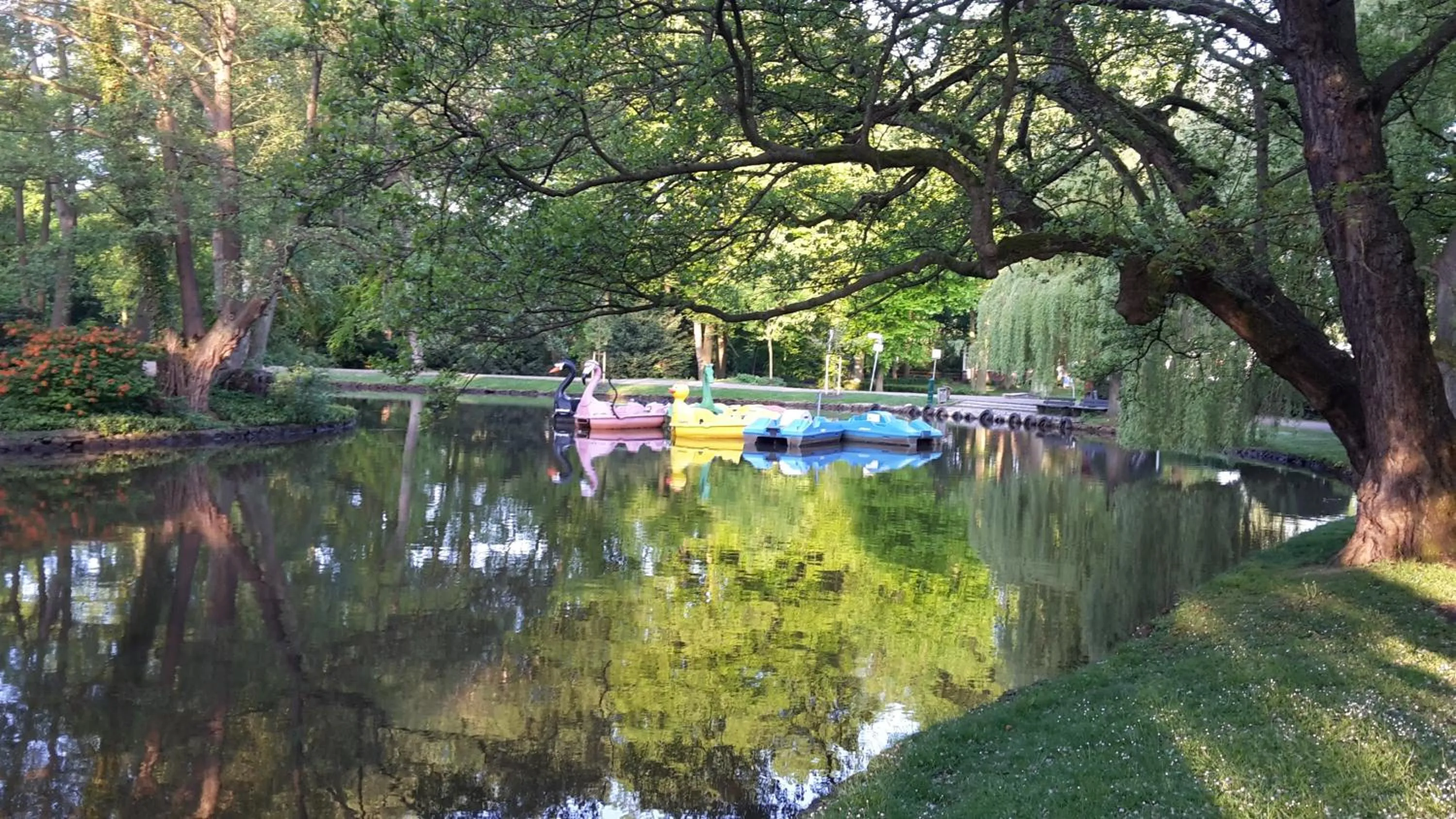 Natural landscape in City Hotel