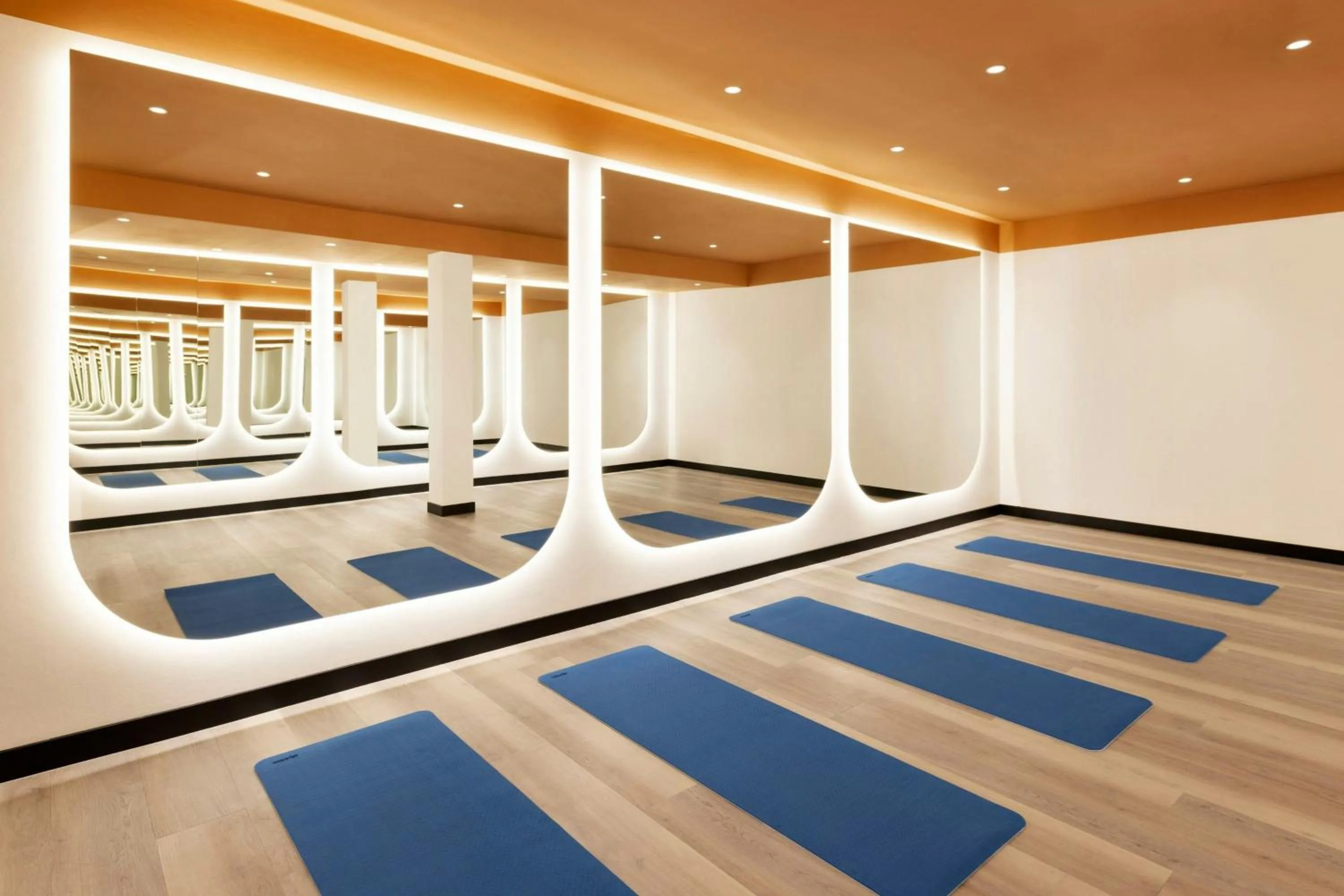 Fitness centre/facilities in Imperial Riding School, Autograph Collection