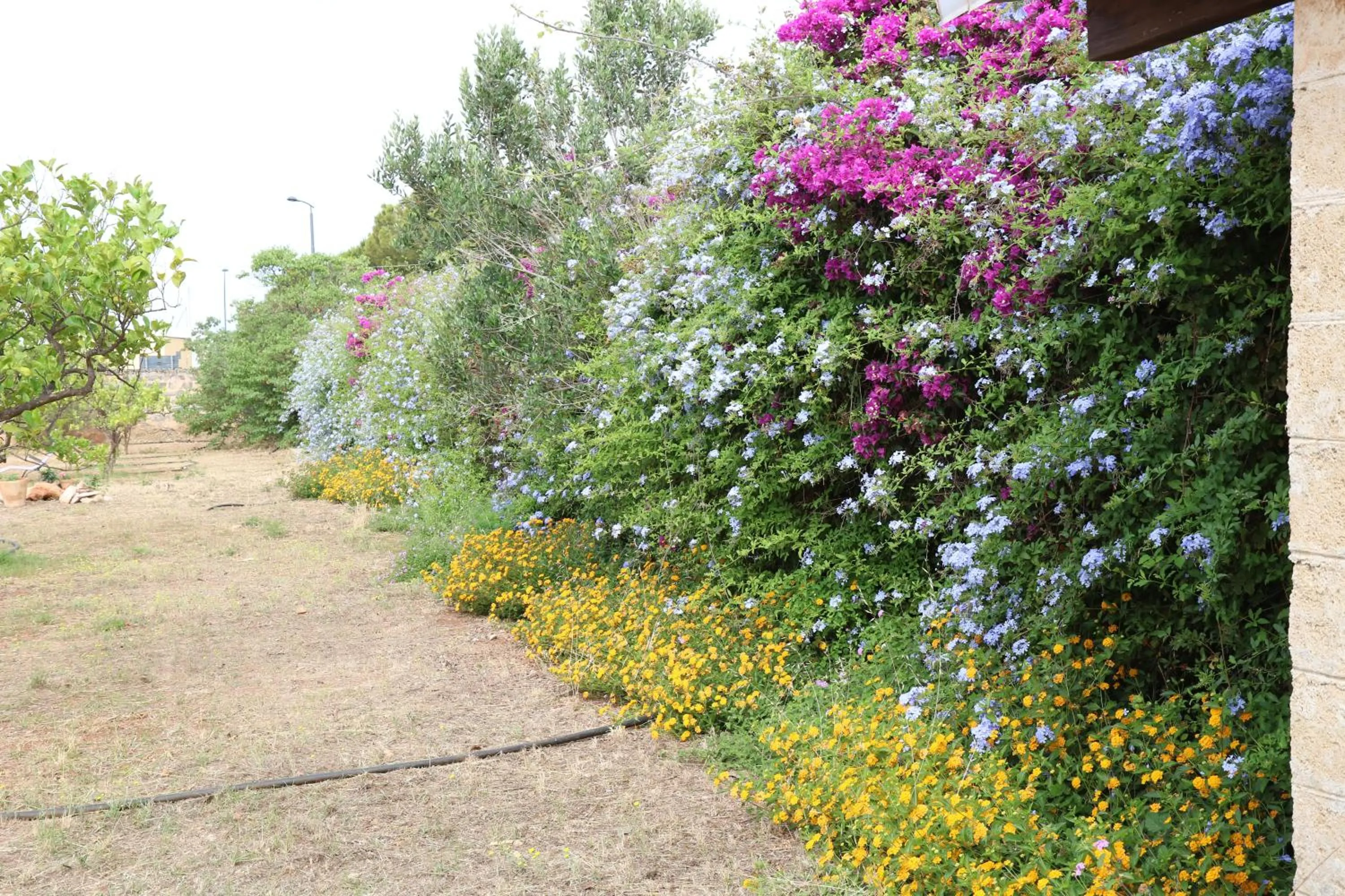 B&B Il Giardino di Paola