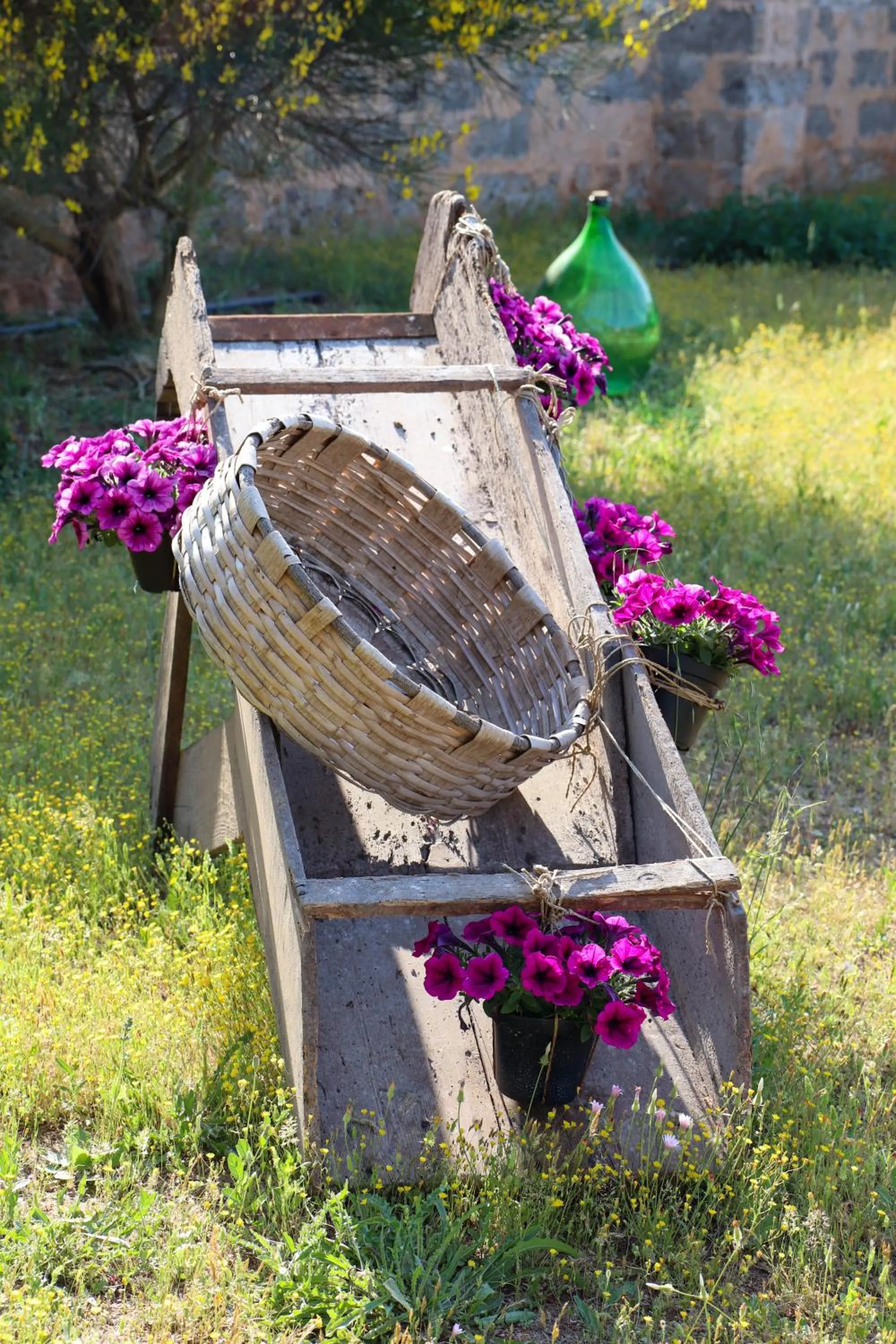 B&B Il Giardino di Paola